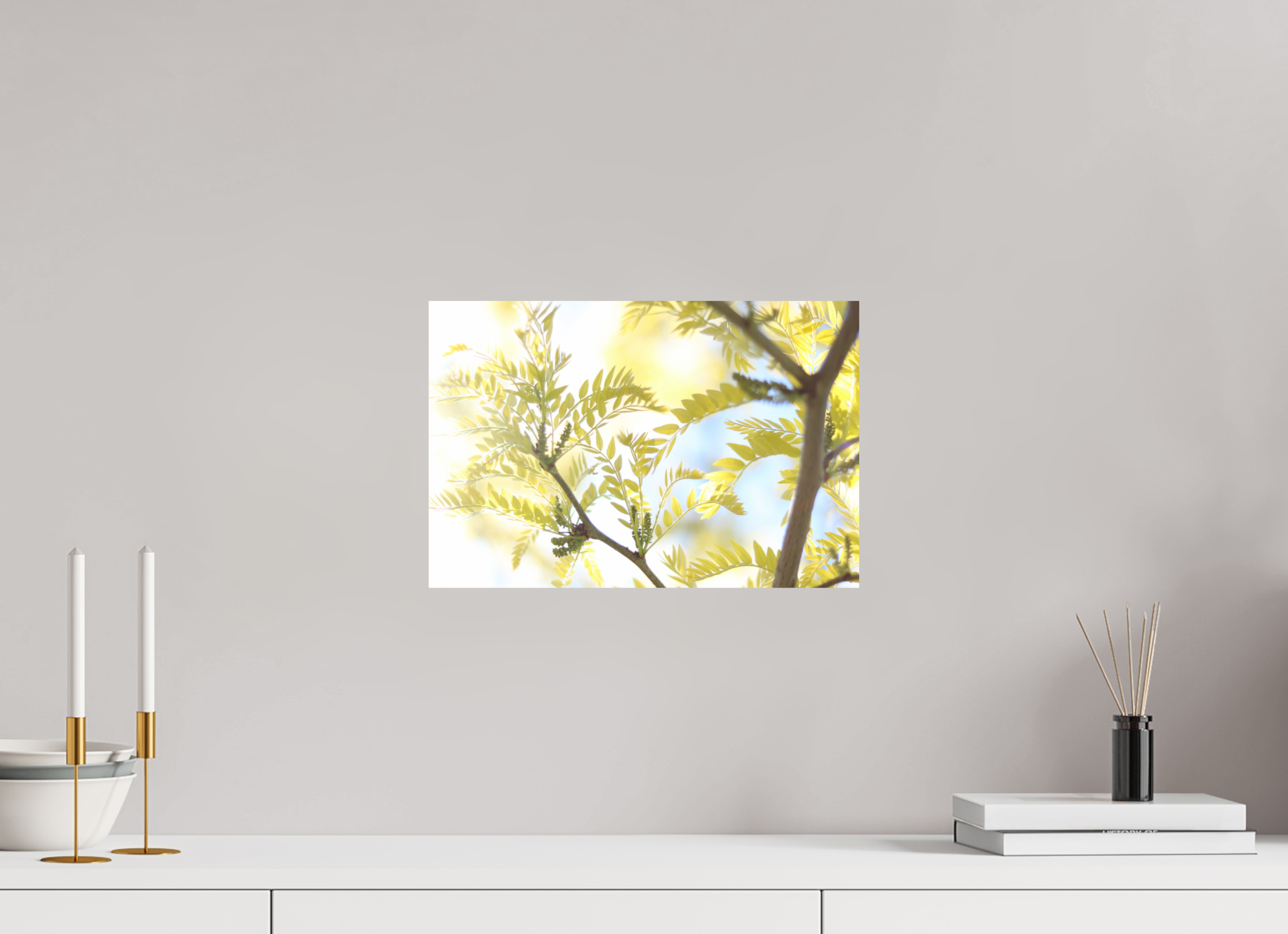 Sunlit Branches with Emerging Leaves