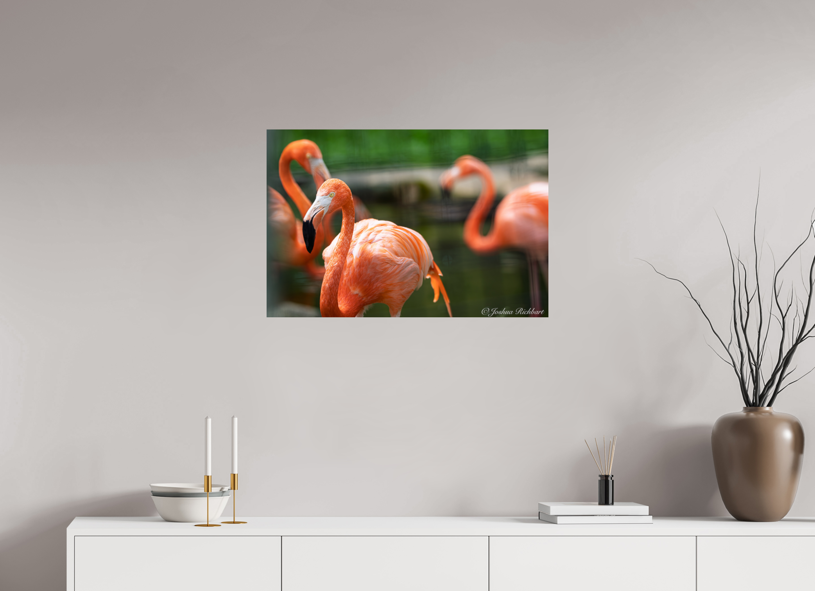 Flamingo Gathering