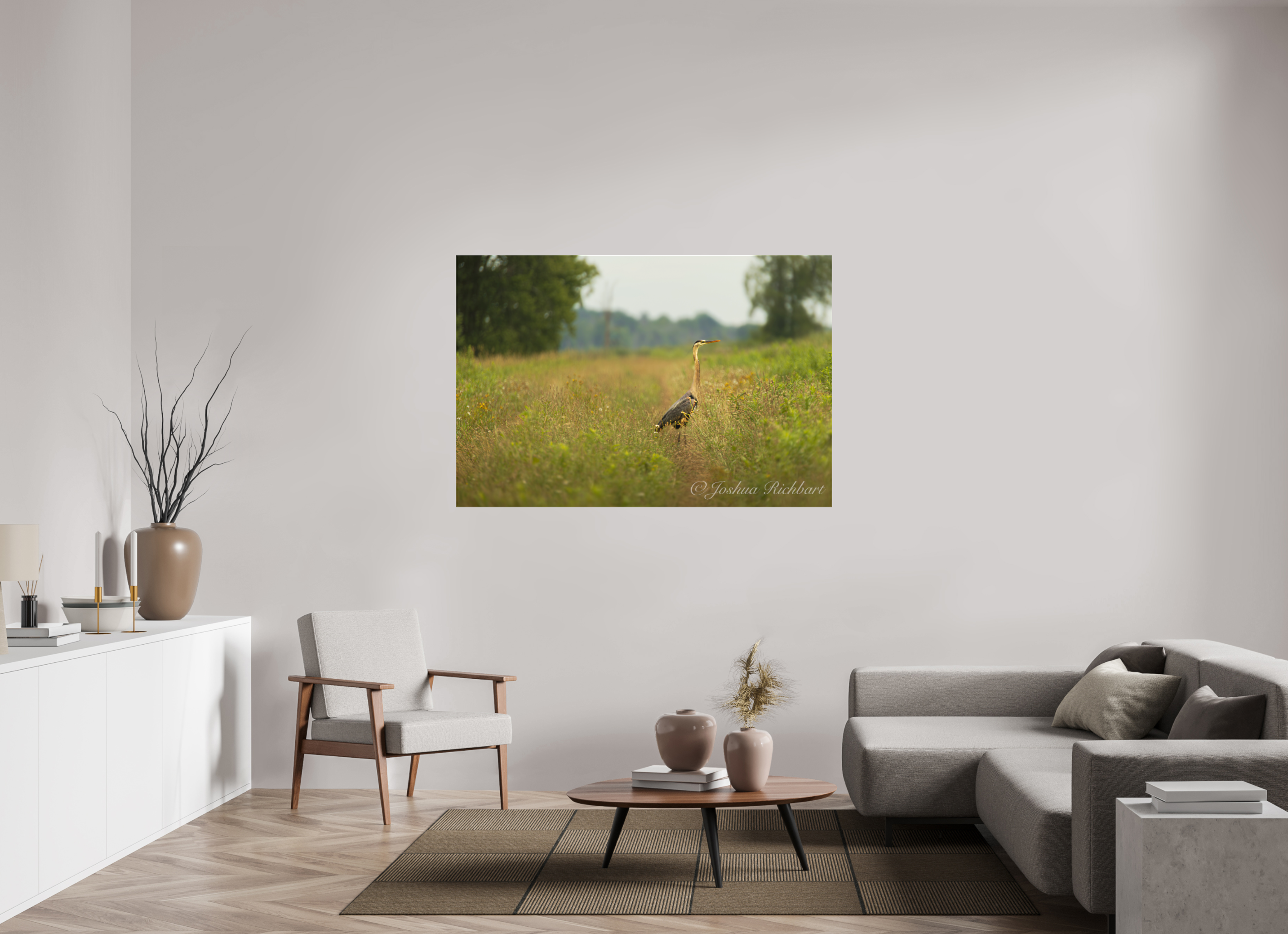 Serene Heron in the Meadow