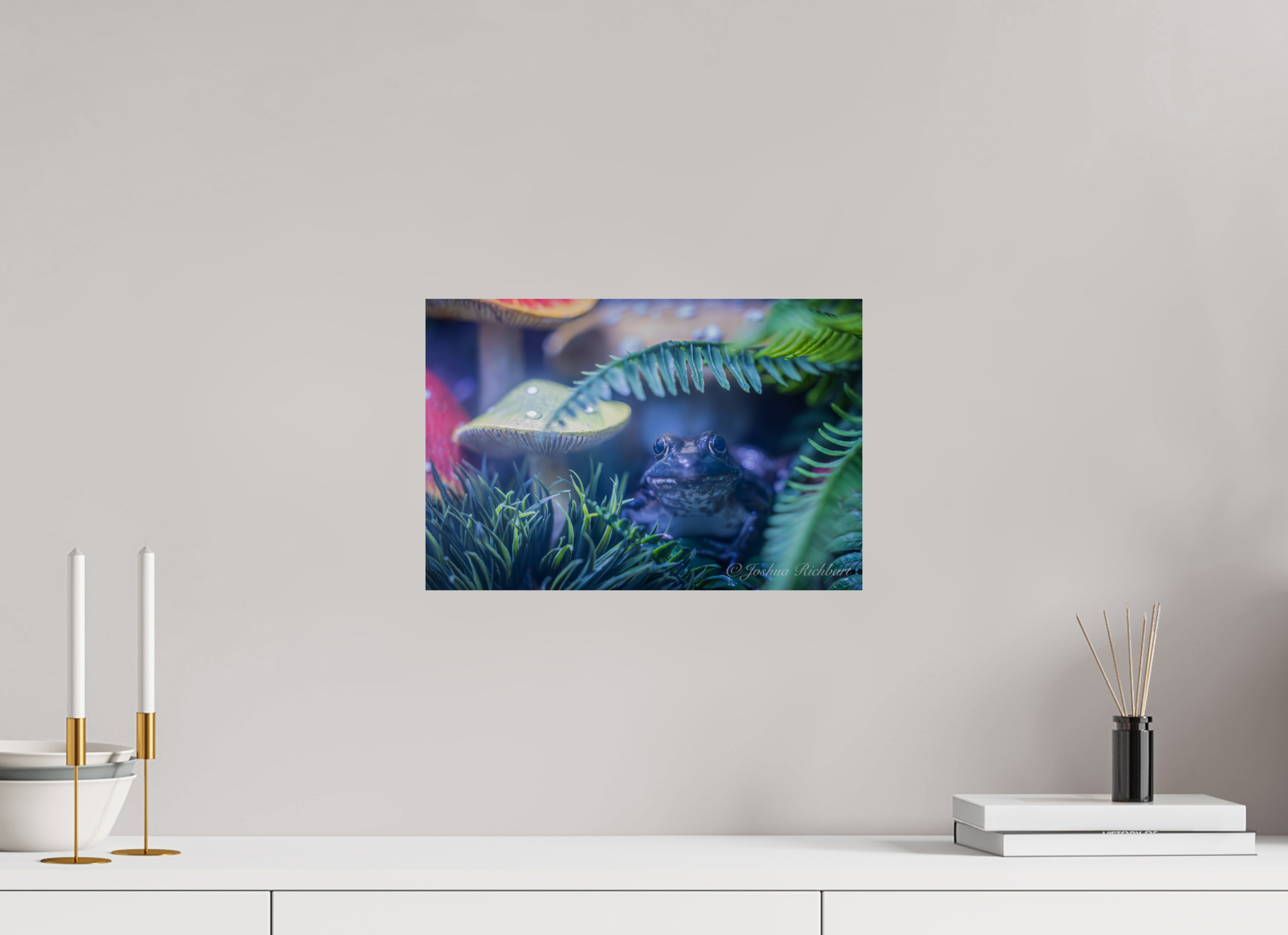 Hidden Frog in the Ferns