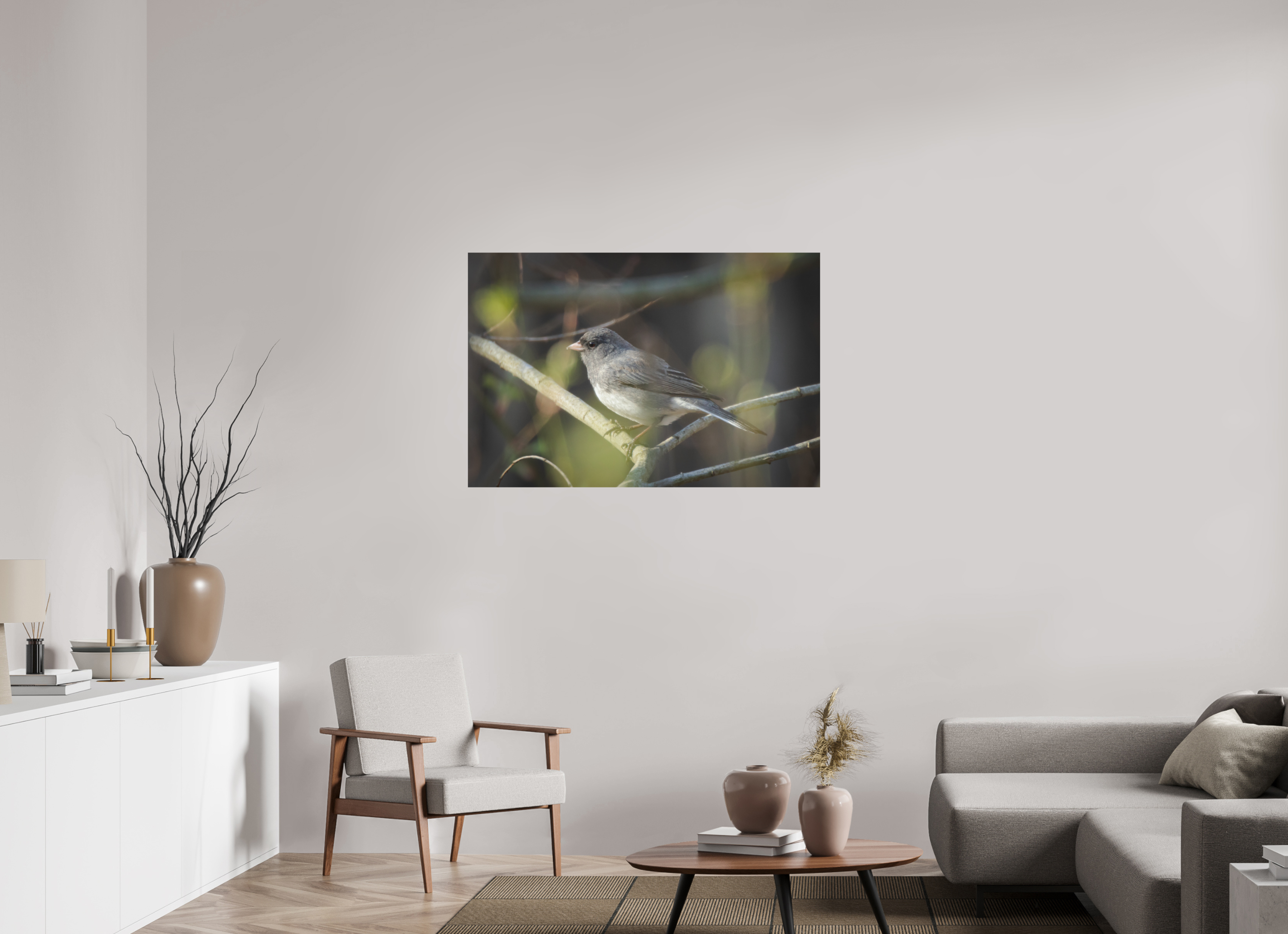 Dark-Eyed Junco Perched