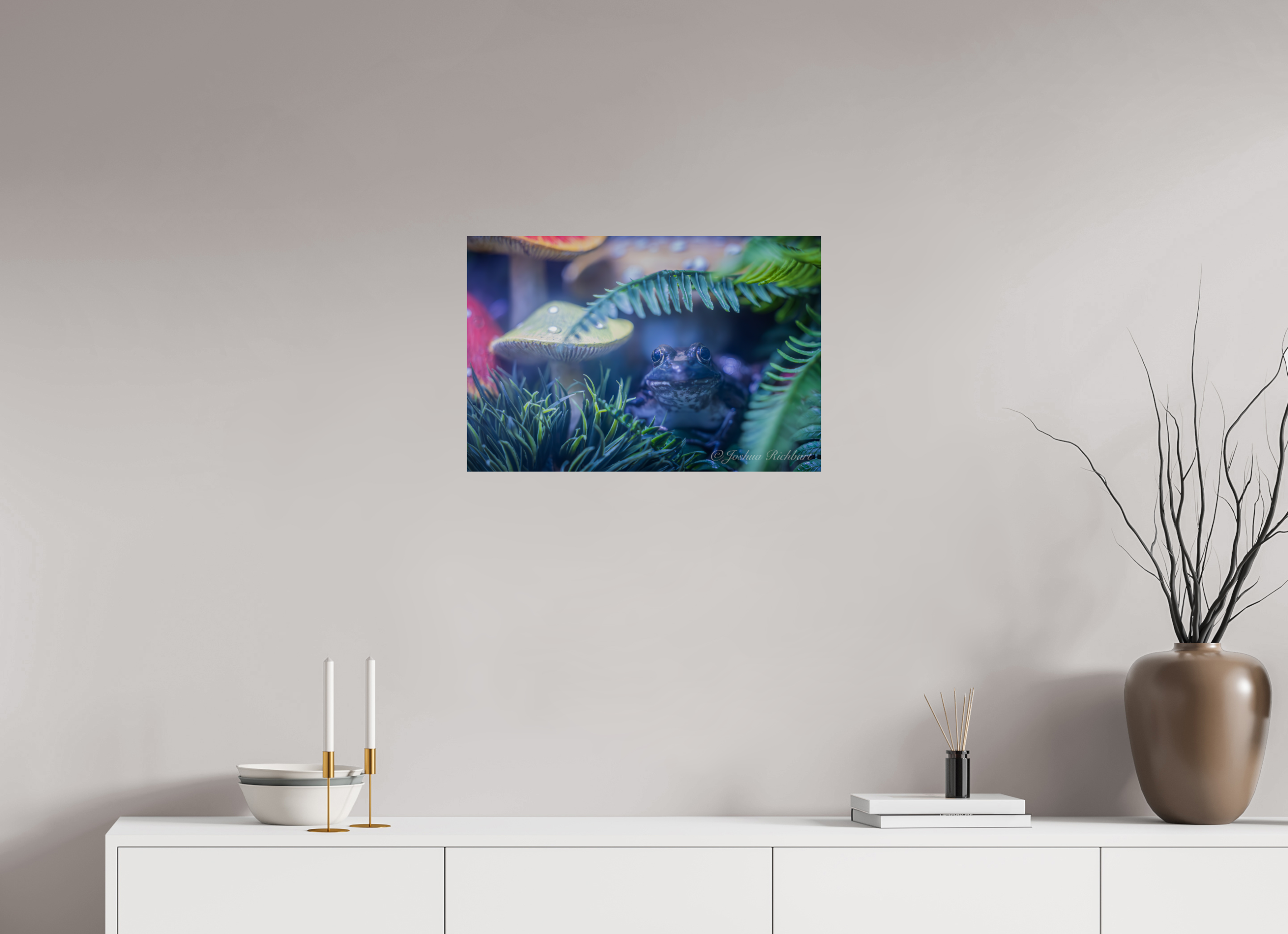 Hidden Frog in the Ferns