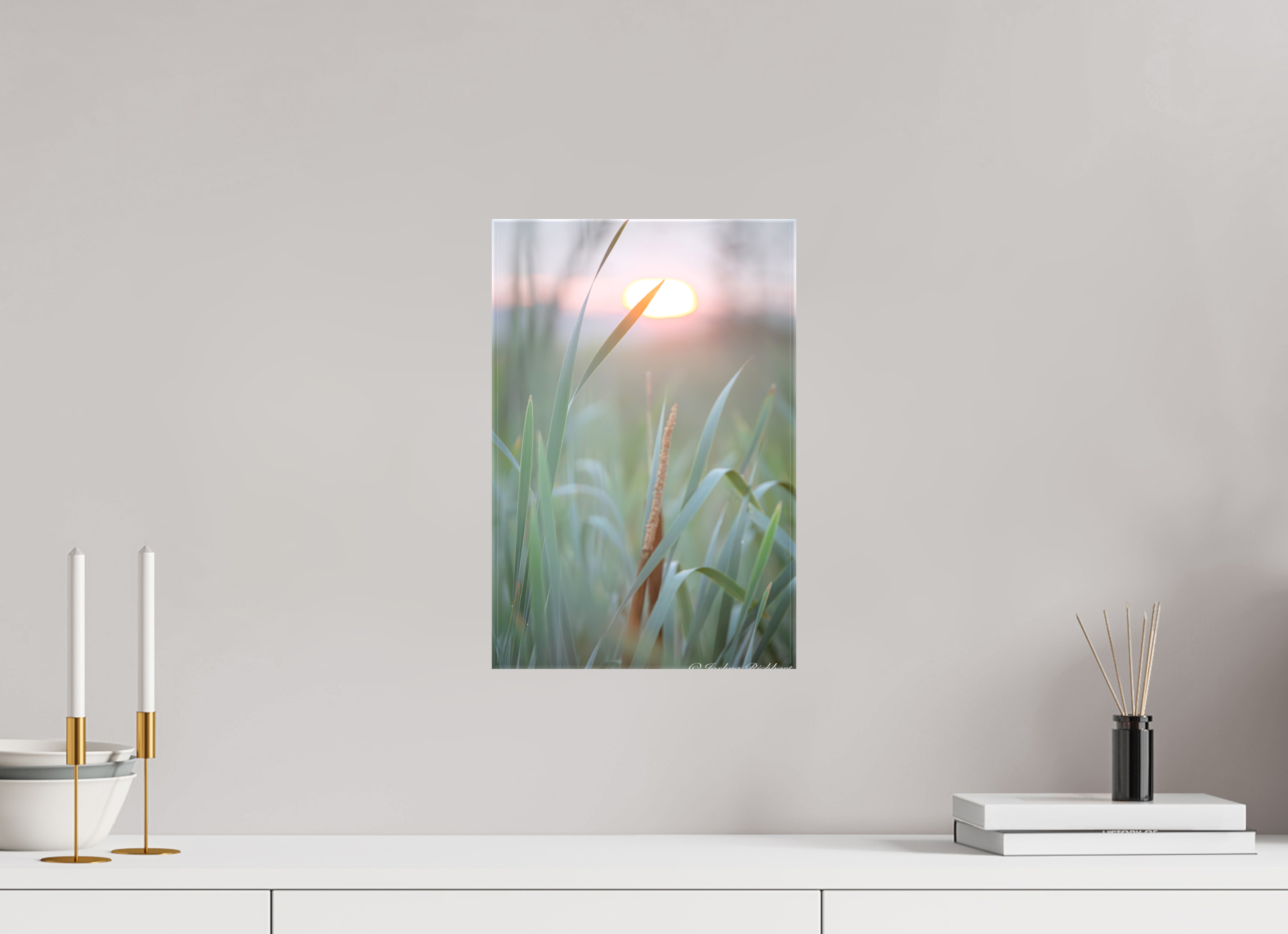 Morning Light in the Meadow