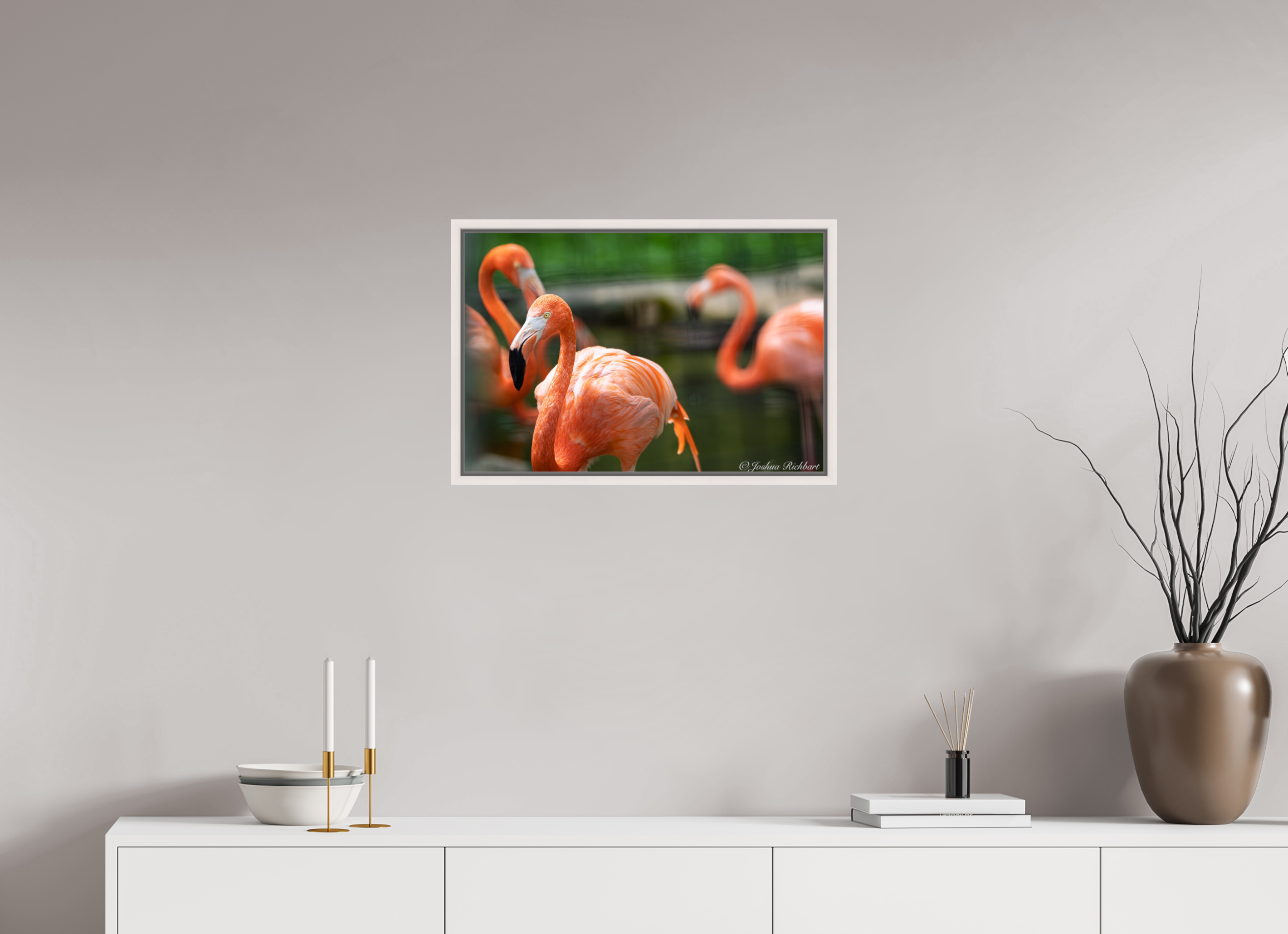 Flamingo Gathering