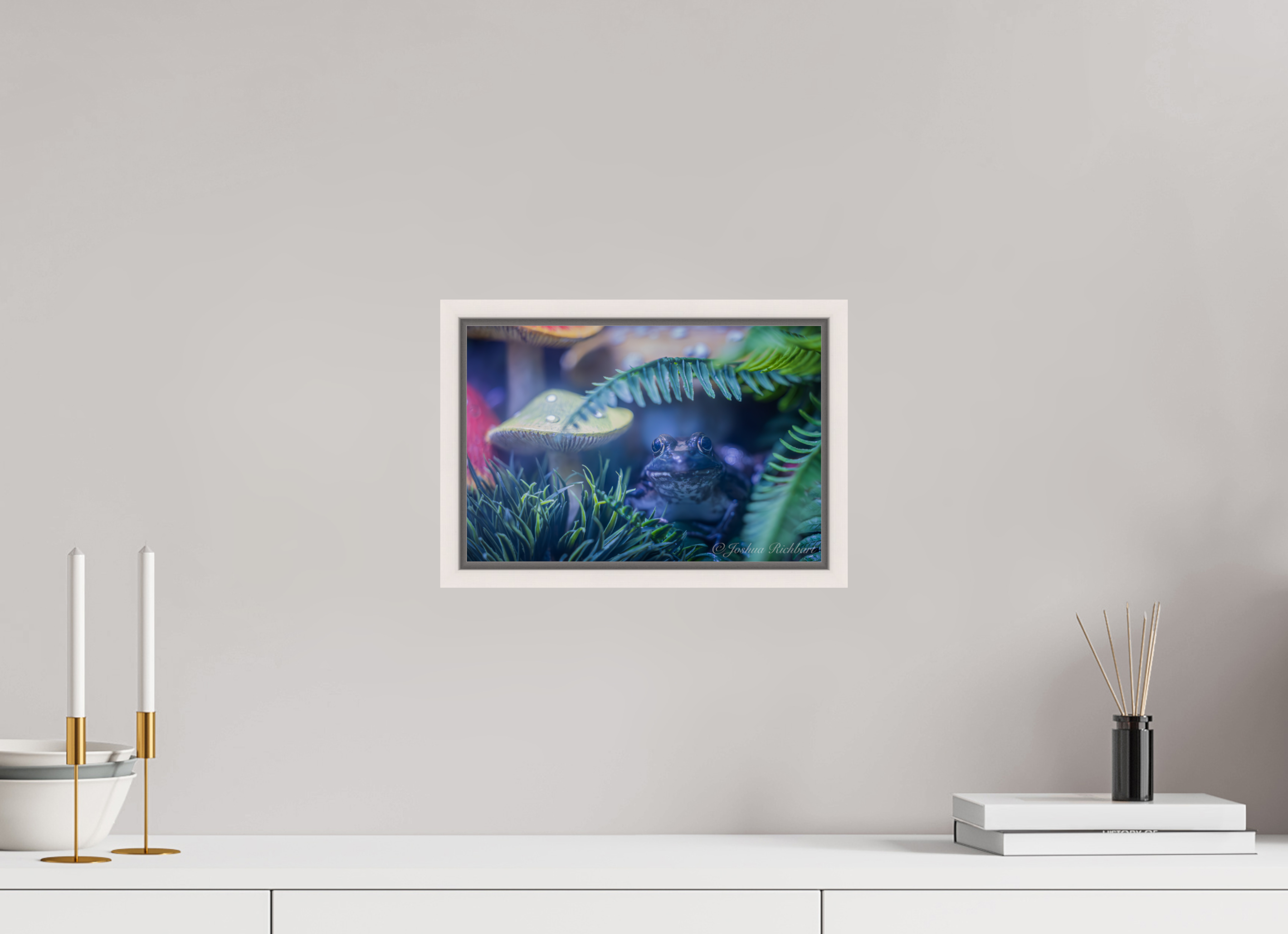 Hidden Frog in the Ferns