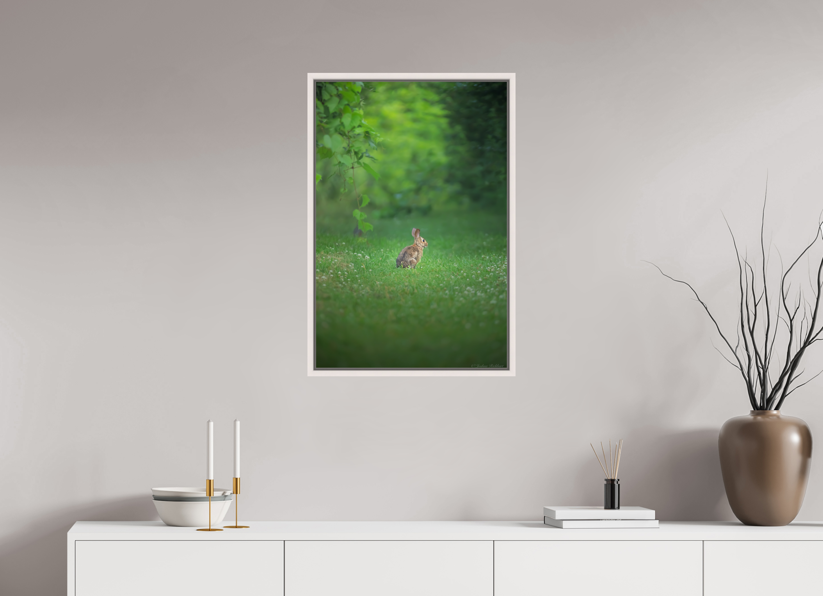 Curious Bunny in the Meadow