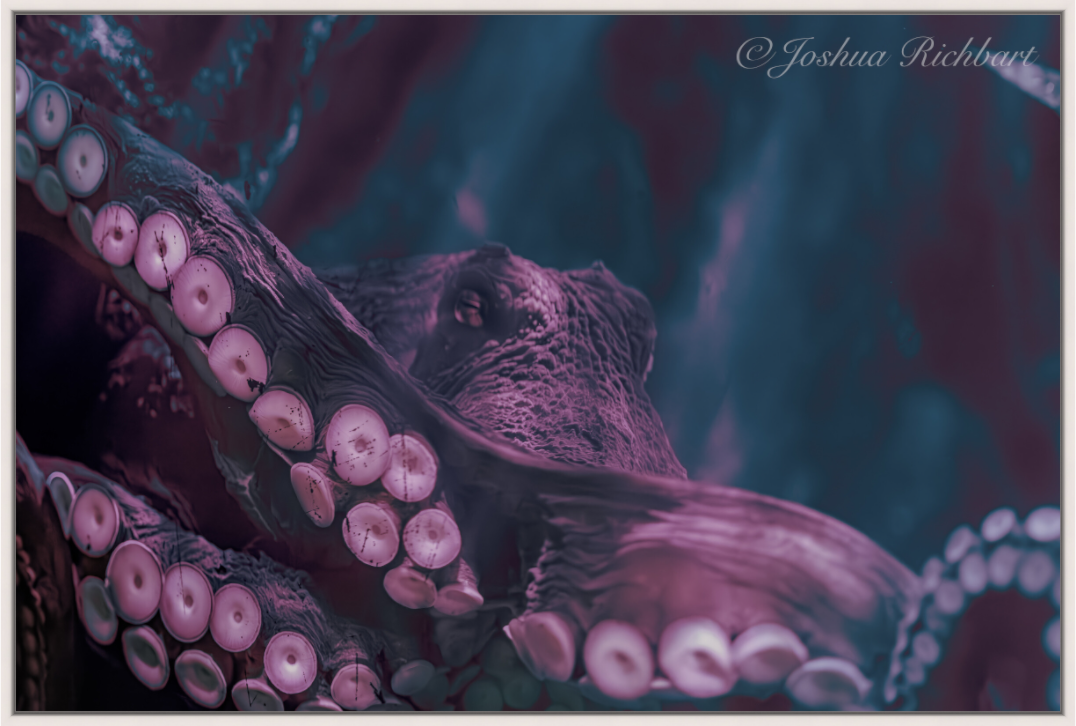 Octopus in the Depths