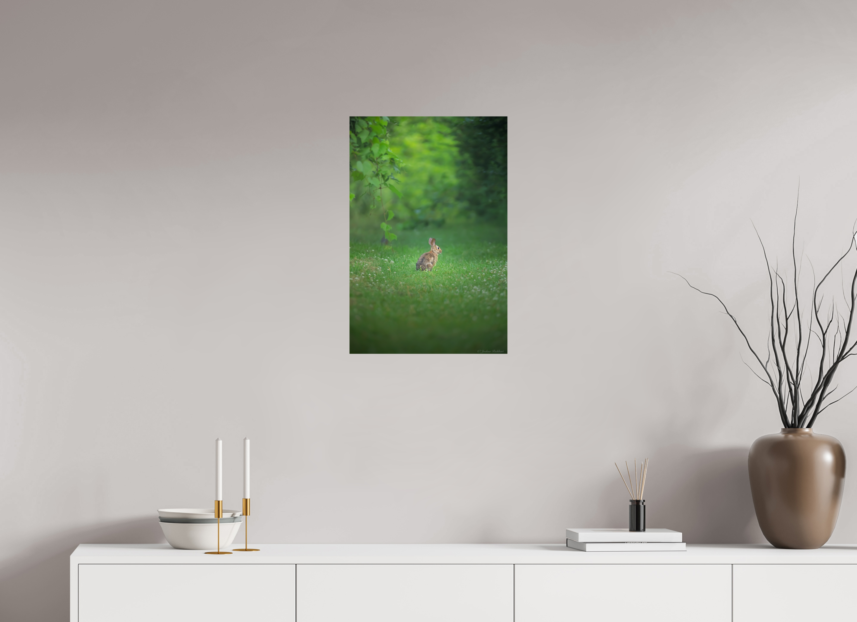 Curious Bunny in the Meadow