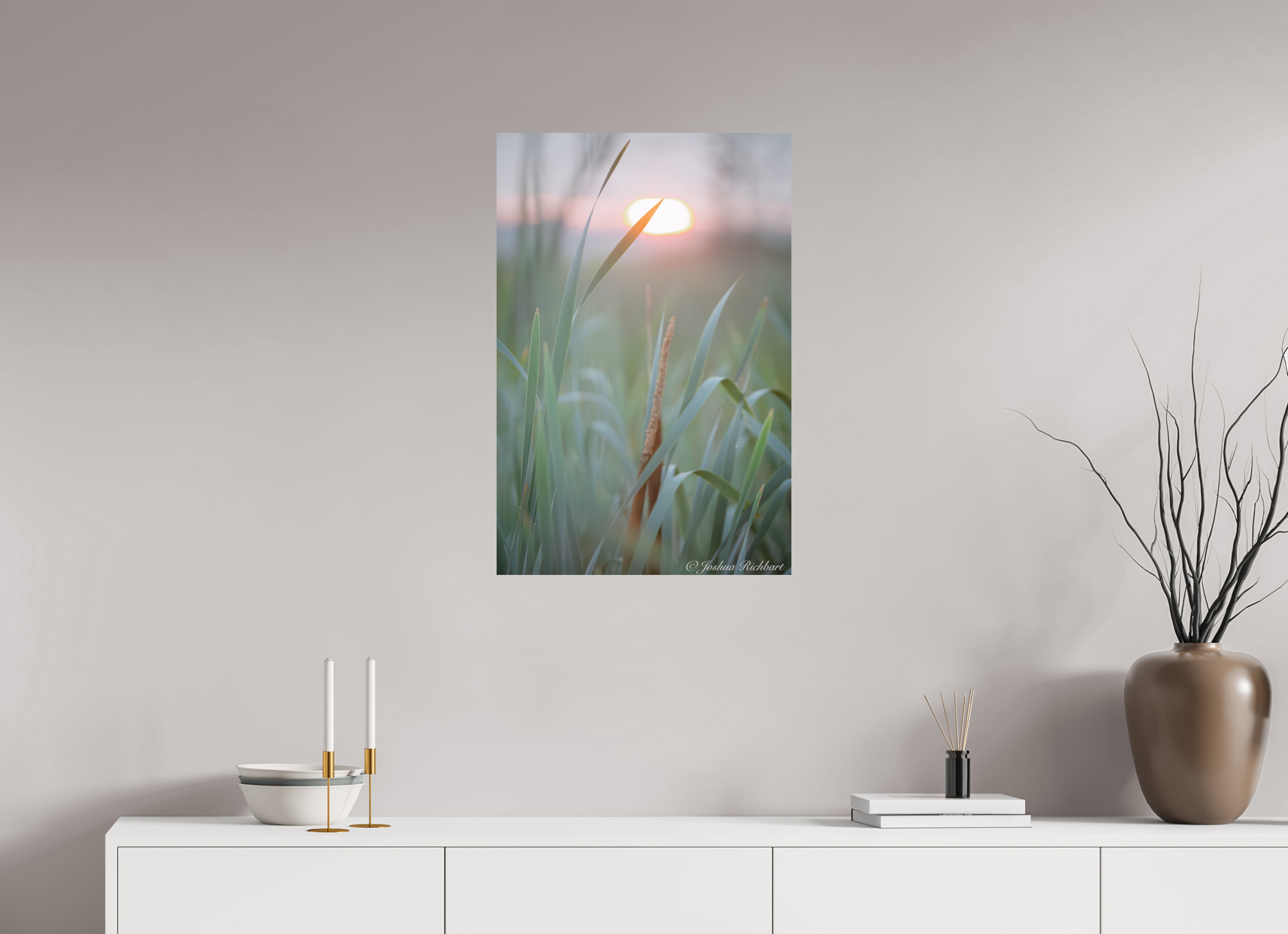 Morning Light in the Meadow