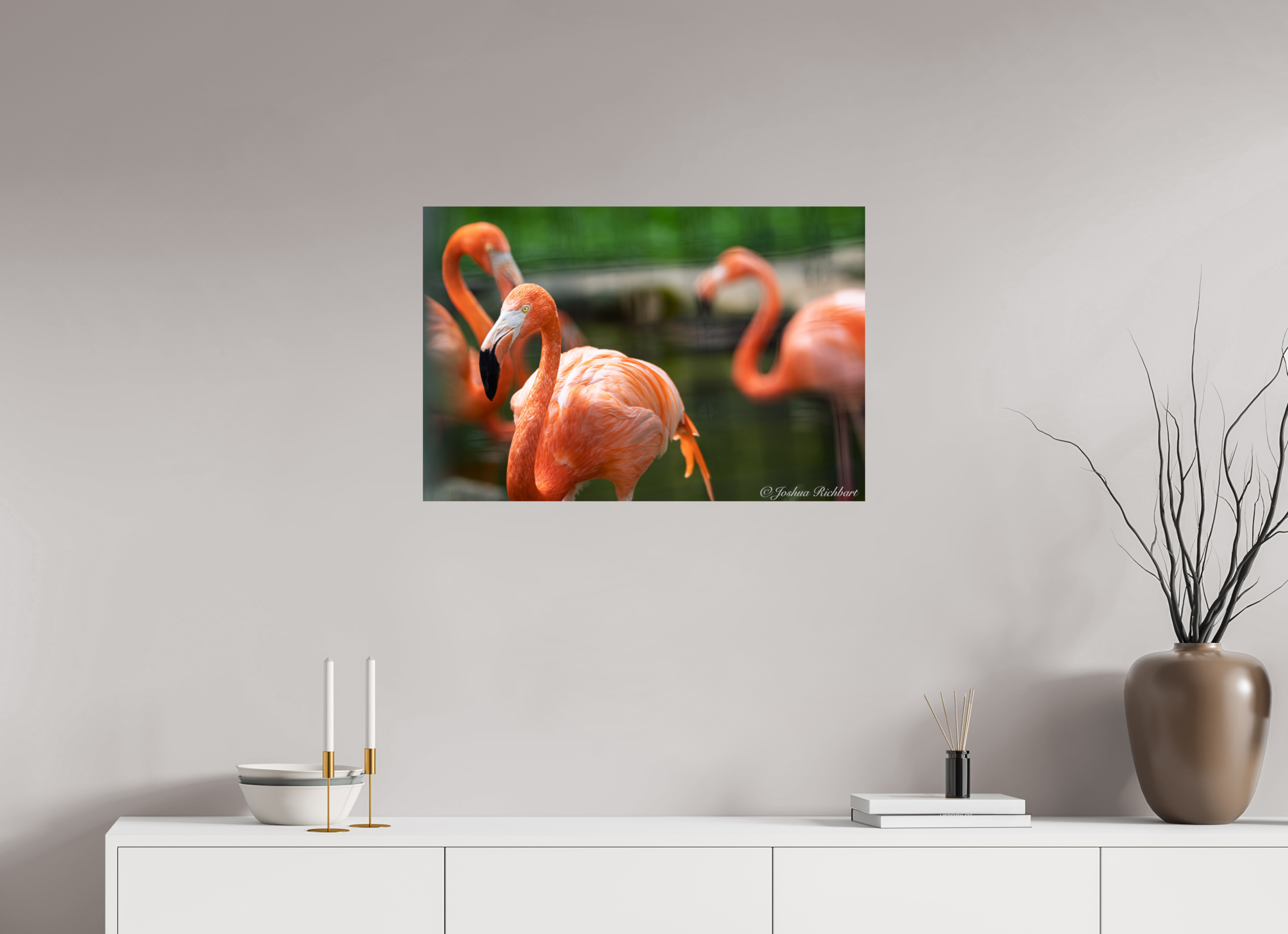 Flamingo Gathering
