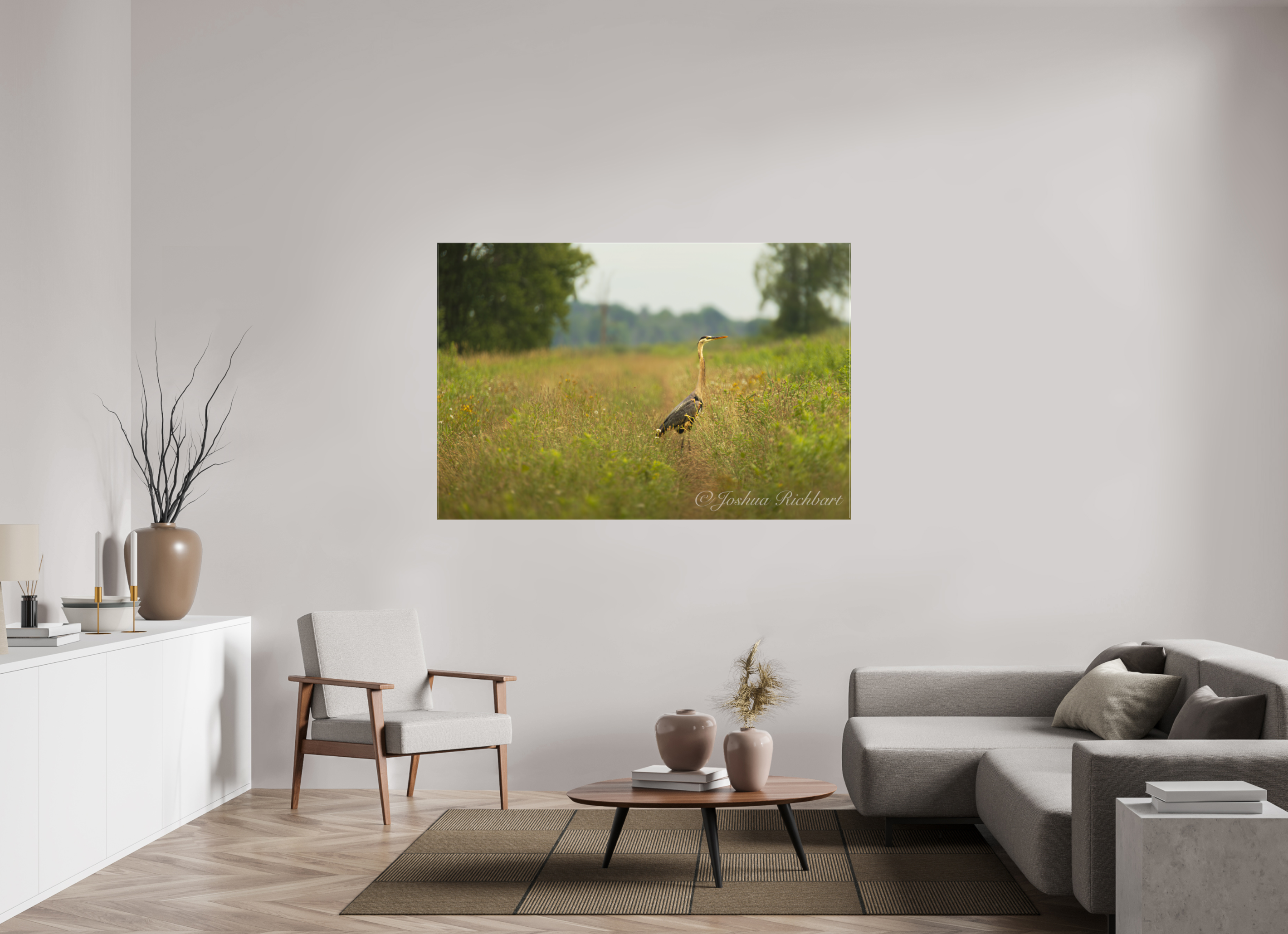 Serene Heron in the Meadow