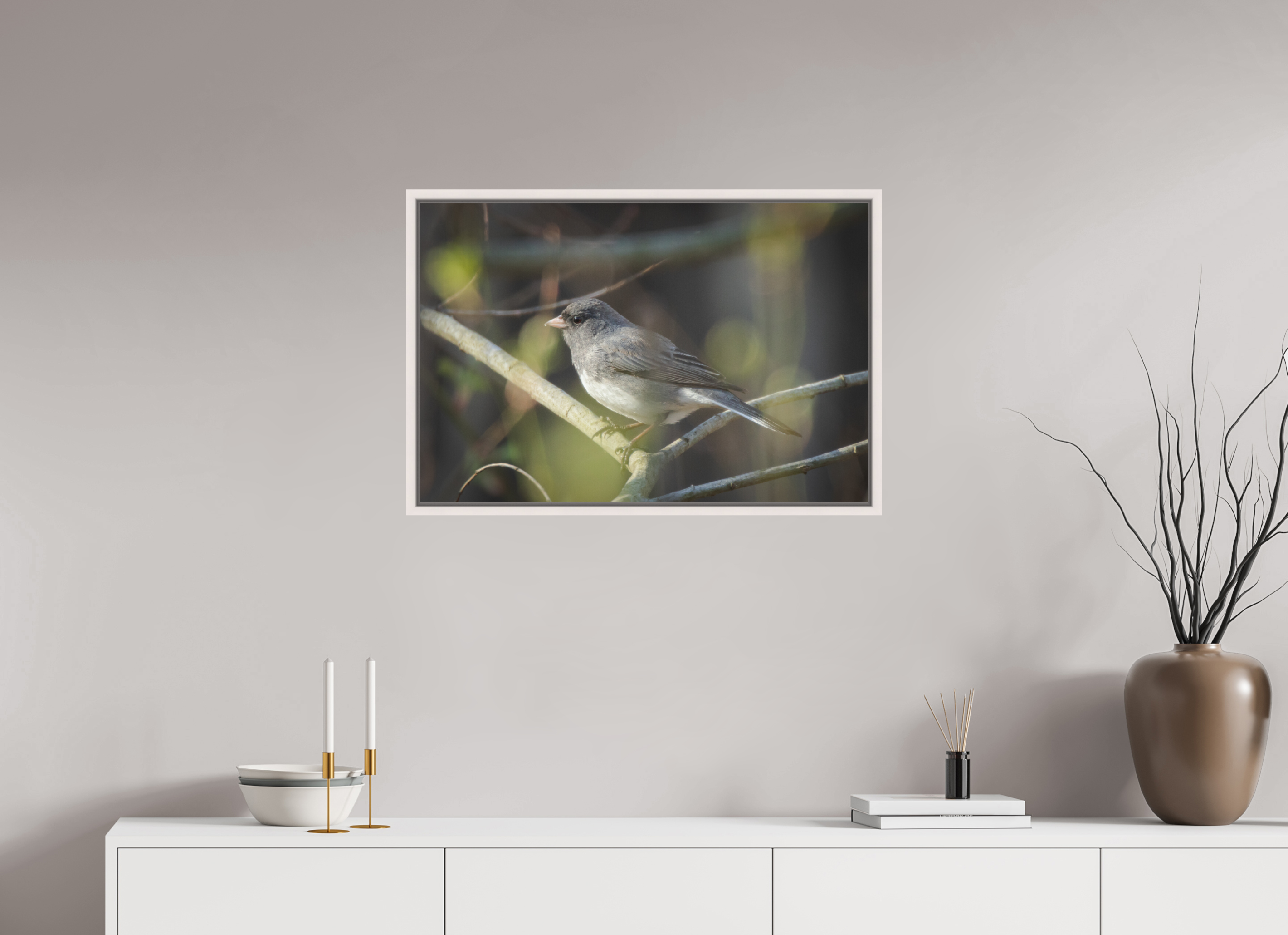 Dark-Eyed Junco Perched