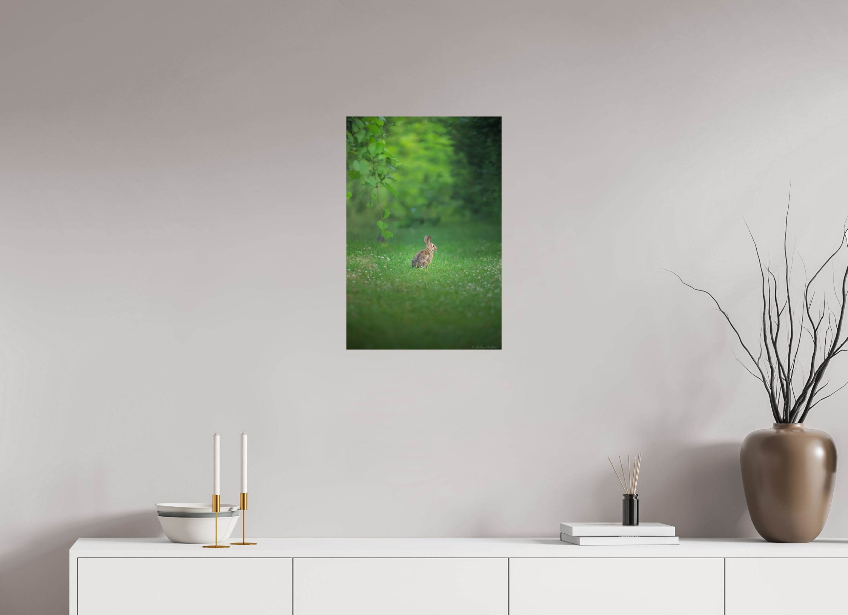 Curious Bunny in the Meadow