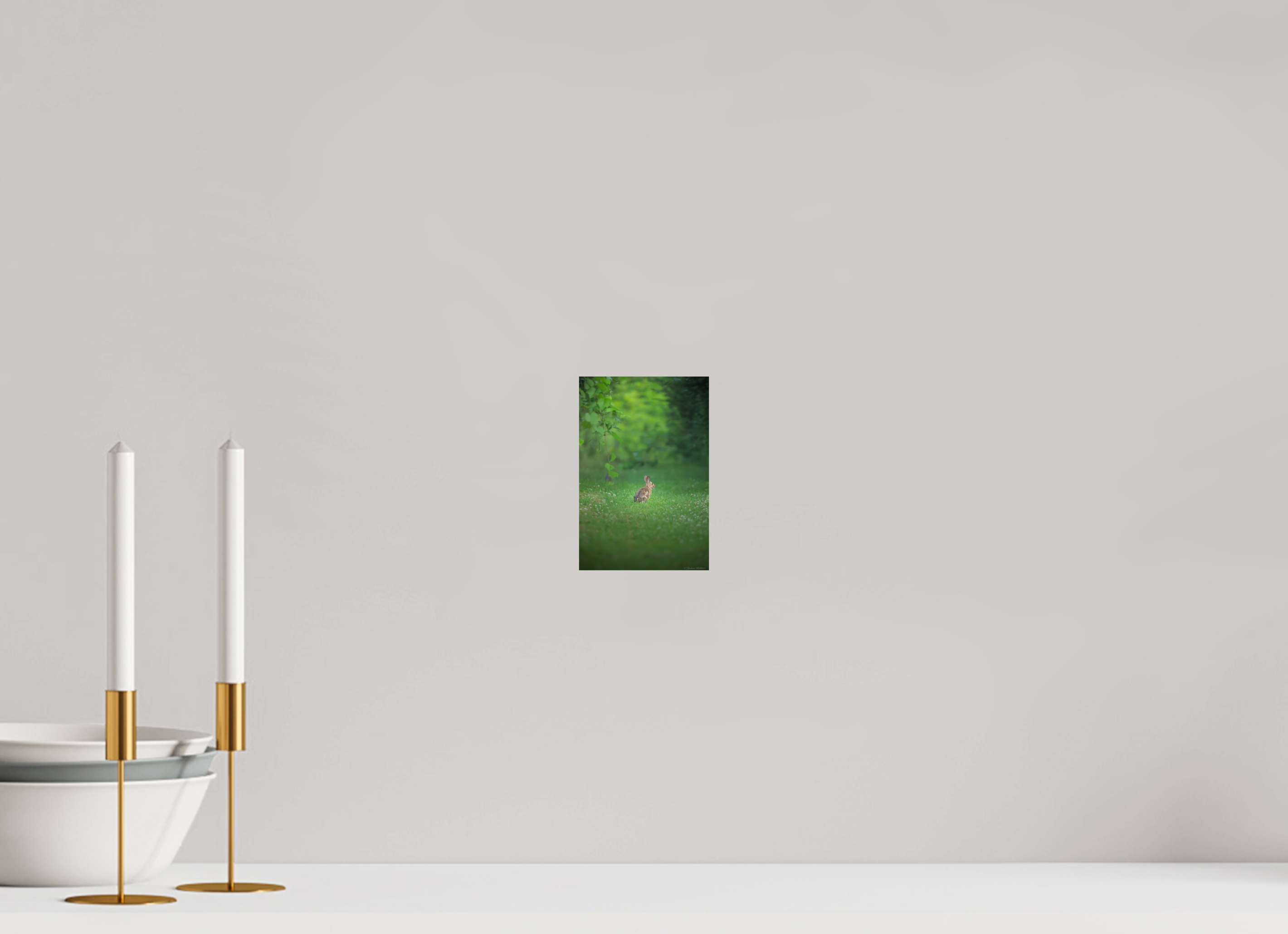 Curious Bunny in the Meadow