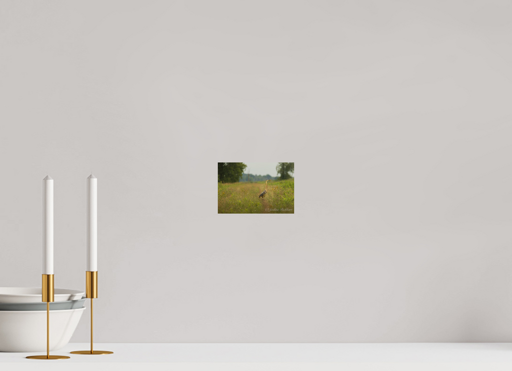 Serene Heron in the Meadow