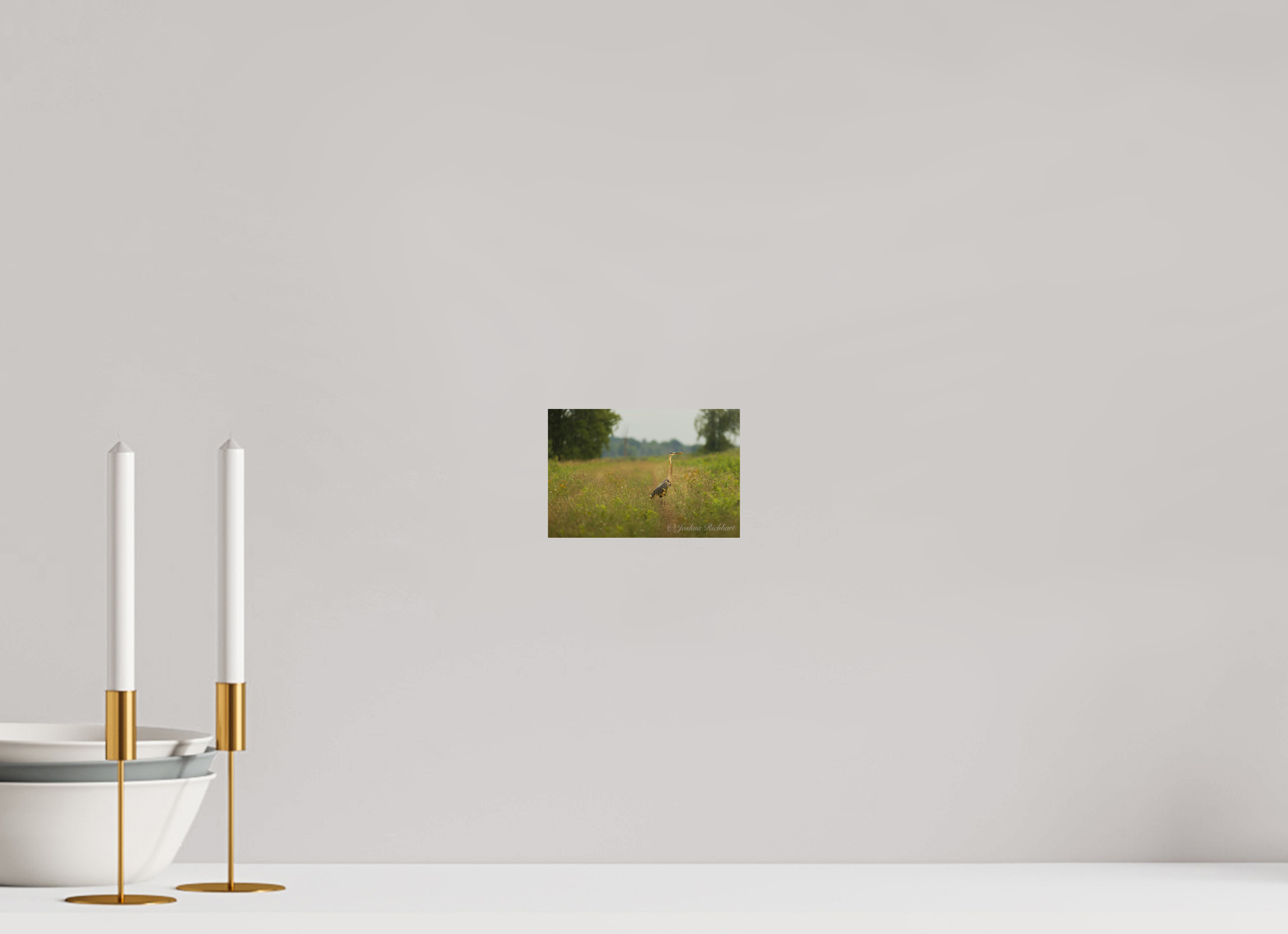 Serene Heron in the Meadow