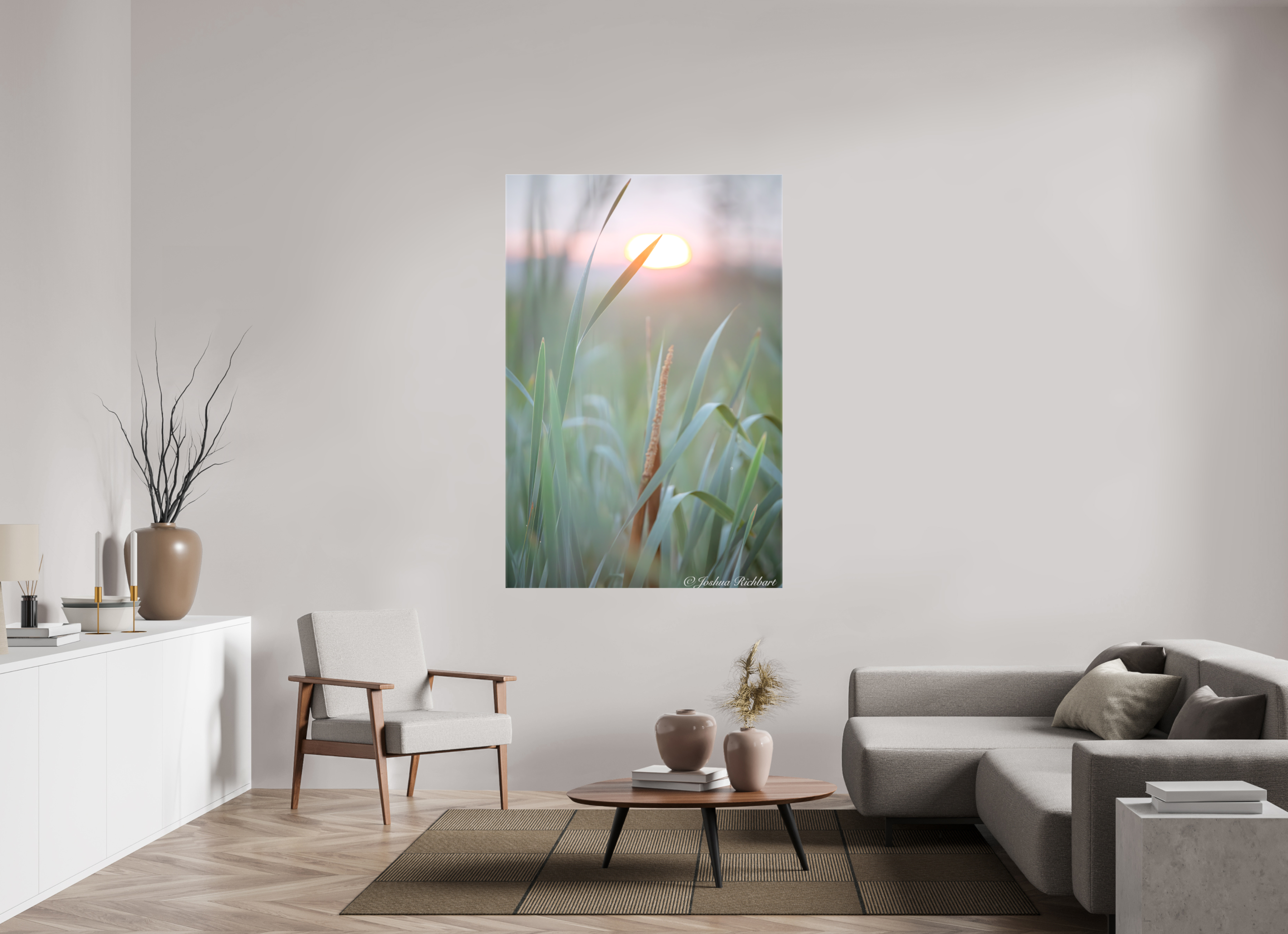 Morning Light in the Meadow