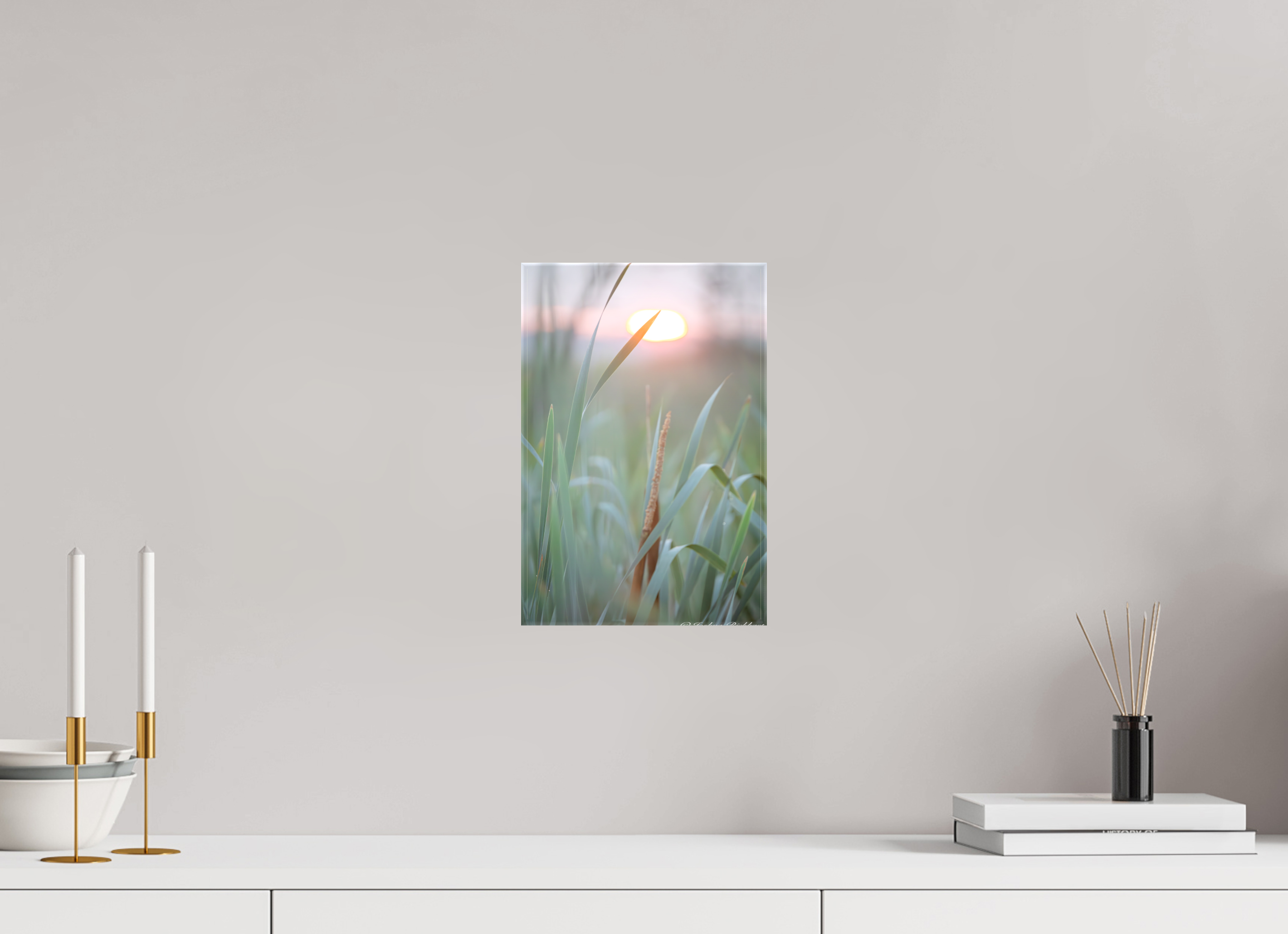 Morning Light in the Meadow