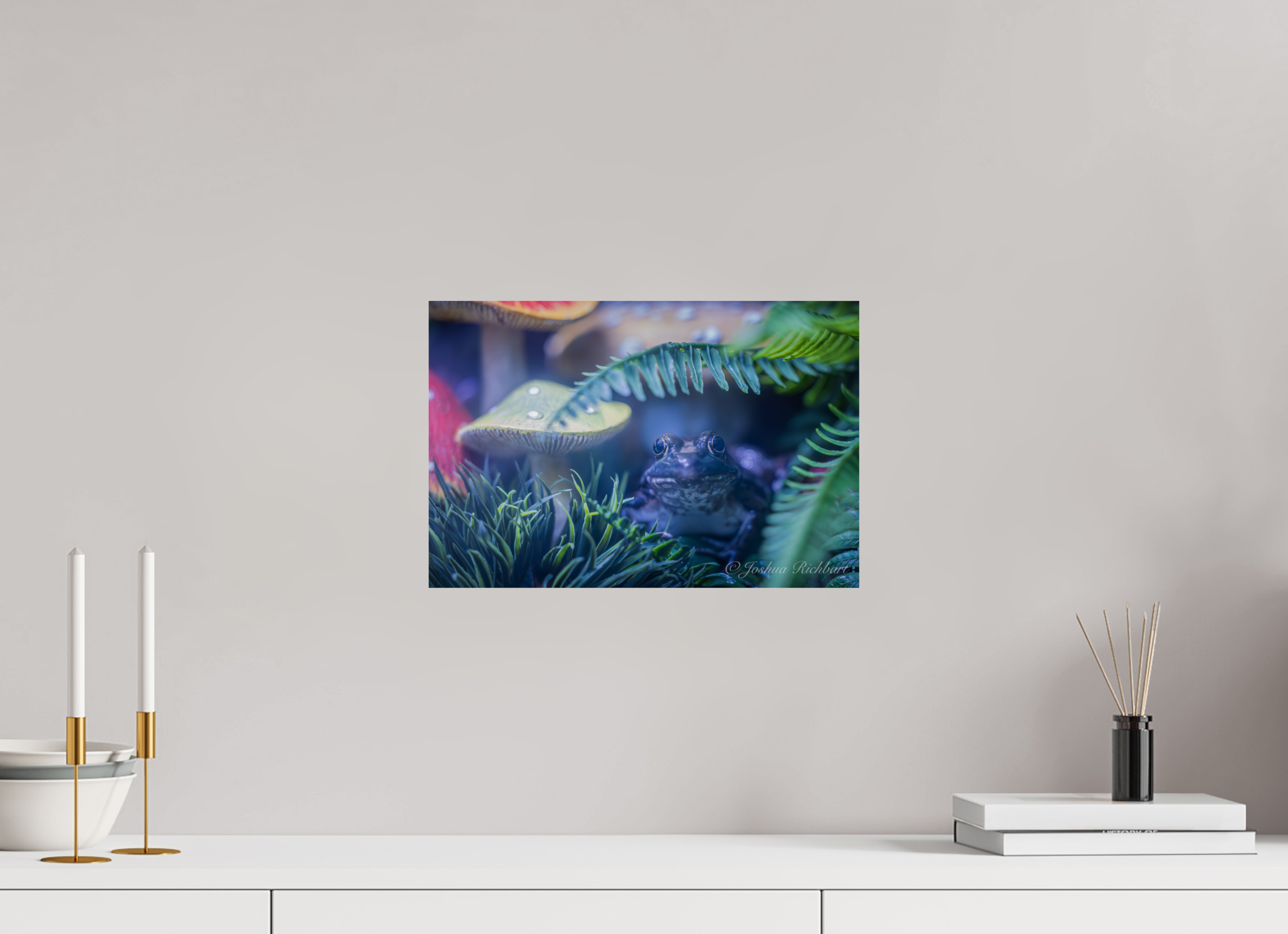 Hidden Frog in the Ferns