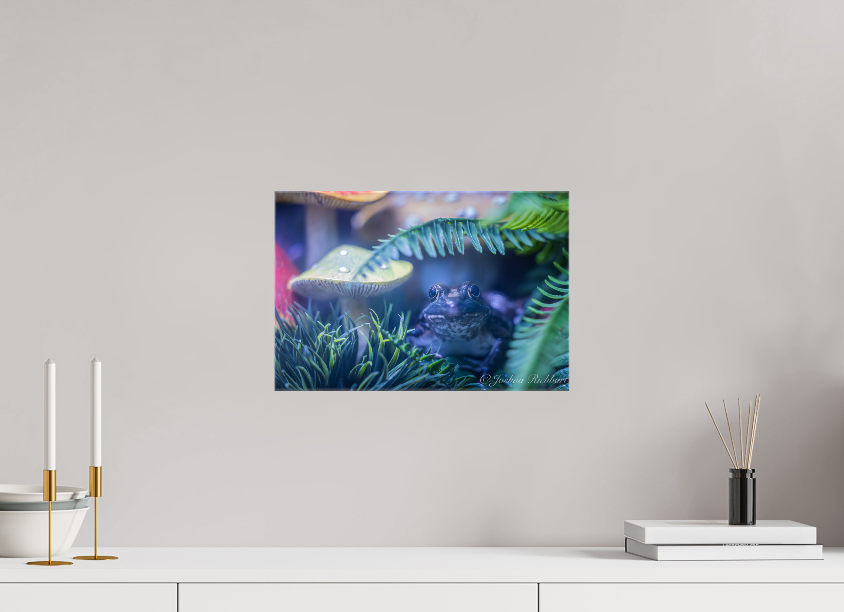 Hidden Frog in the Ferns