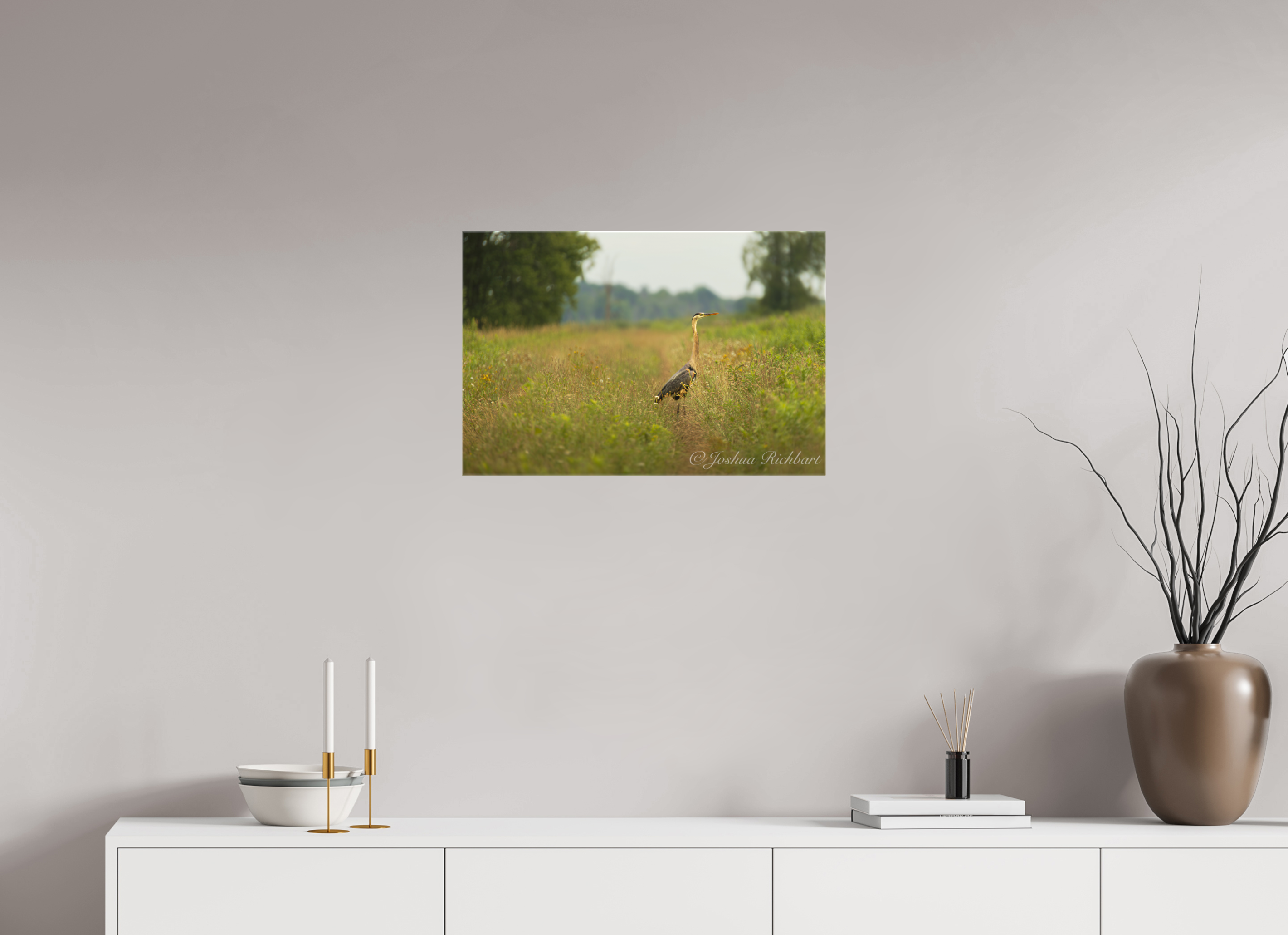 Serene Heron in the Meadow