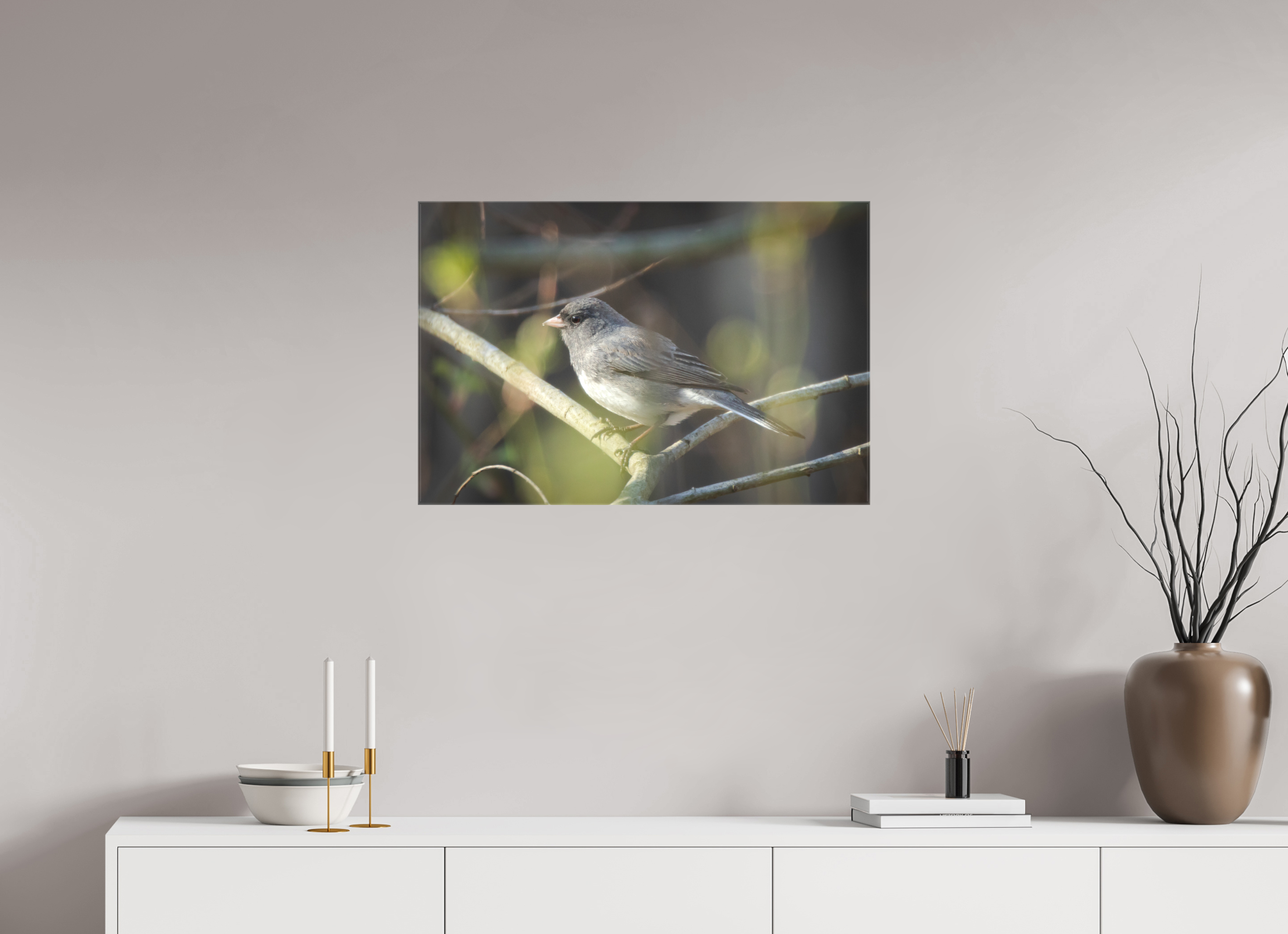 Dark-Eyed Junco Perched