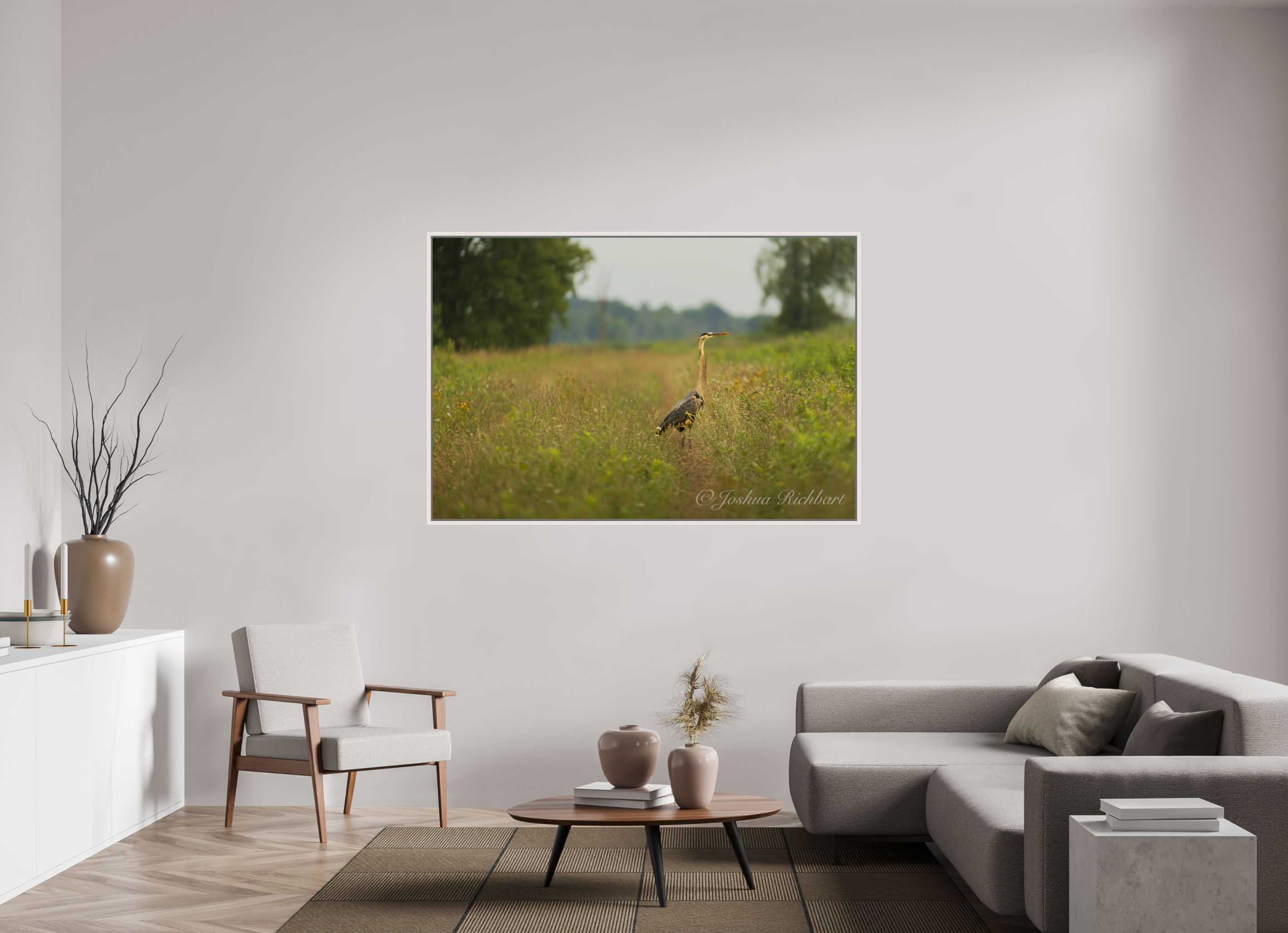 Serene Heron in the Meadow