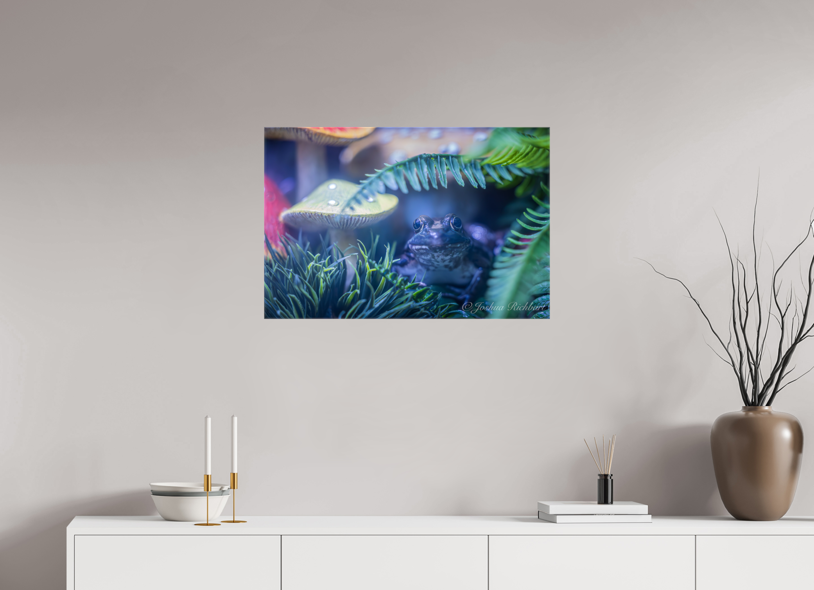 Hidden Frog in the Ferns