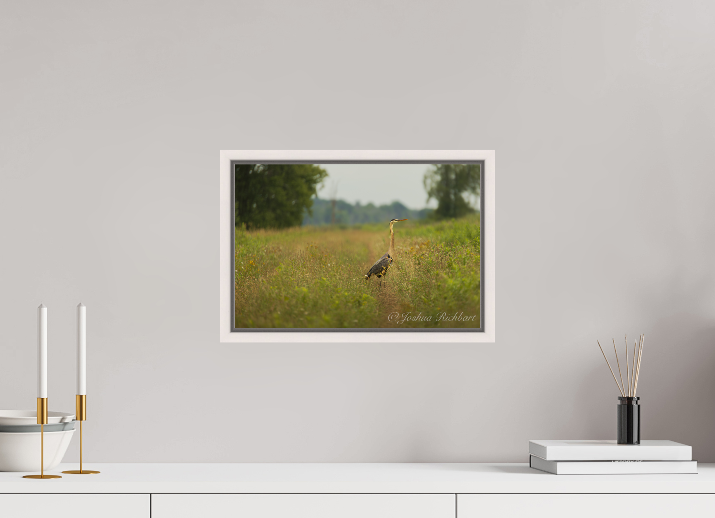 Serene Heron in the Meadow