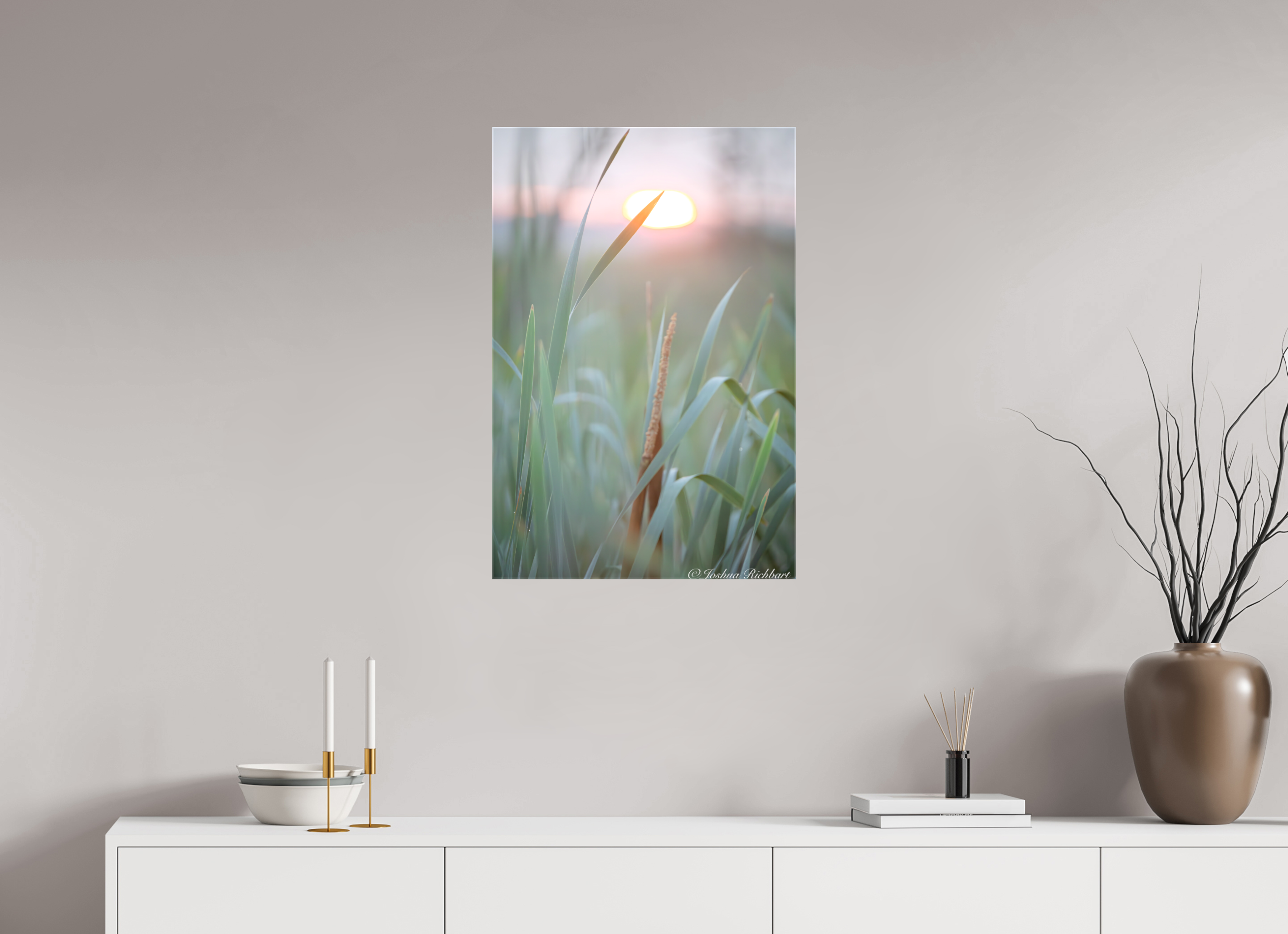 Morning Light in the Meadow