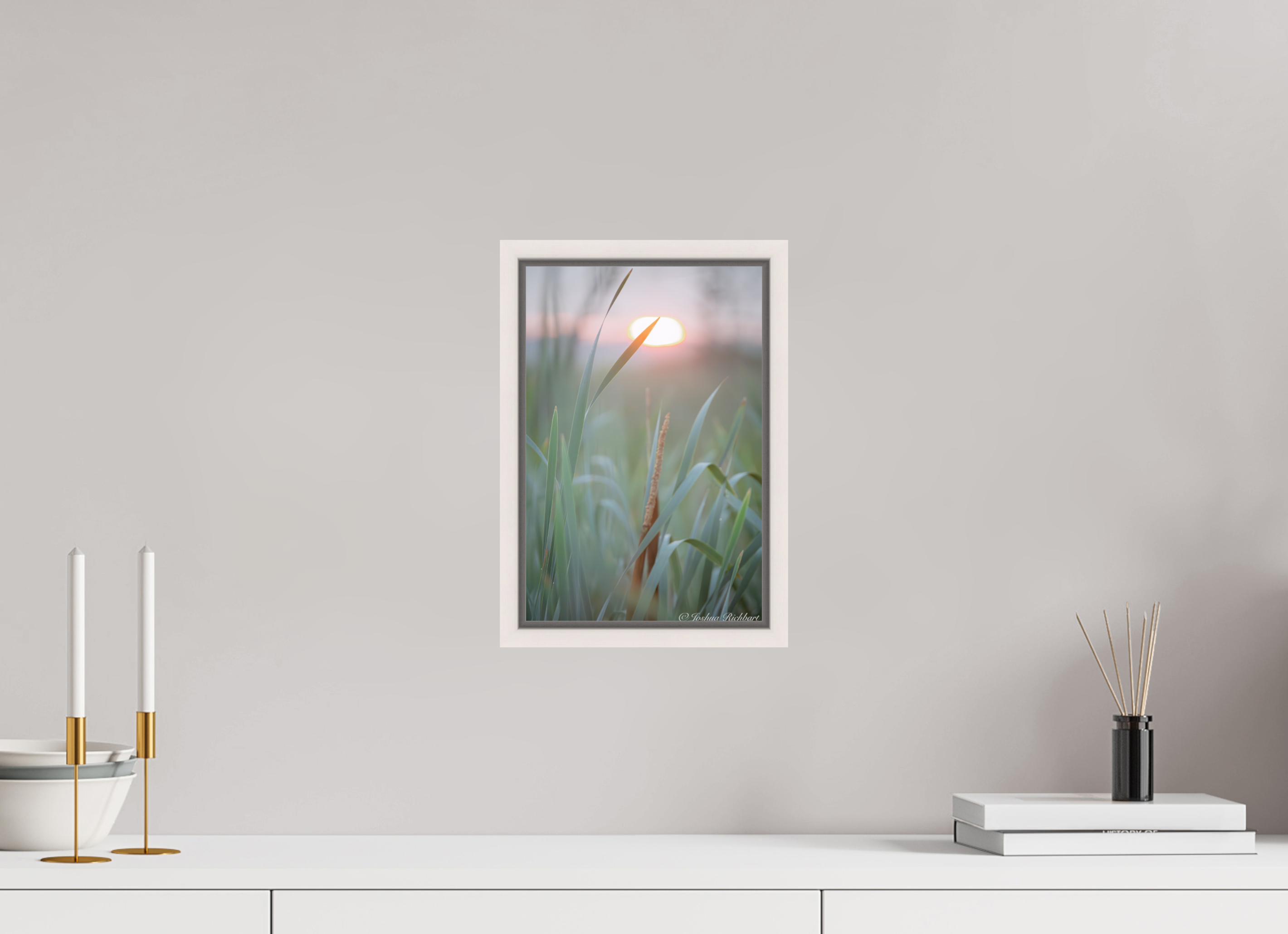 Morning Light in the Meadow