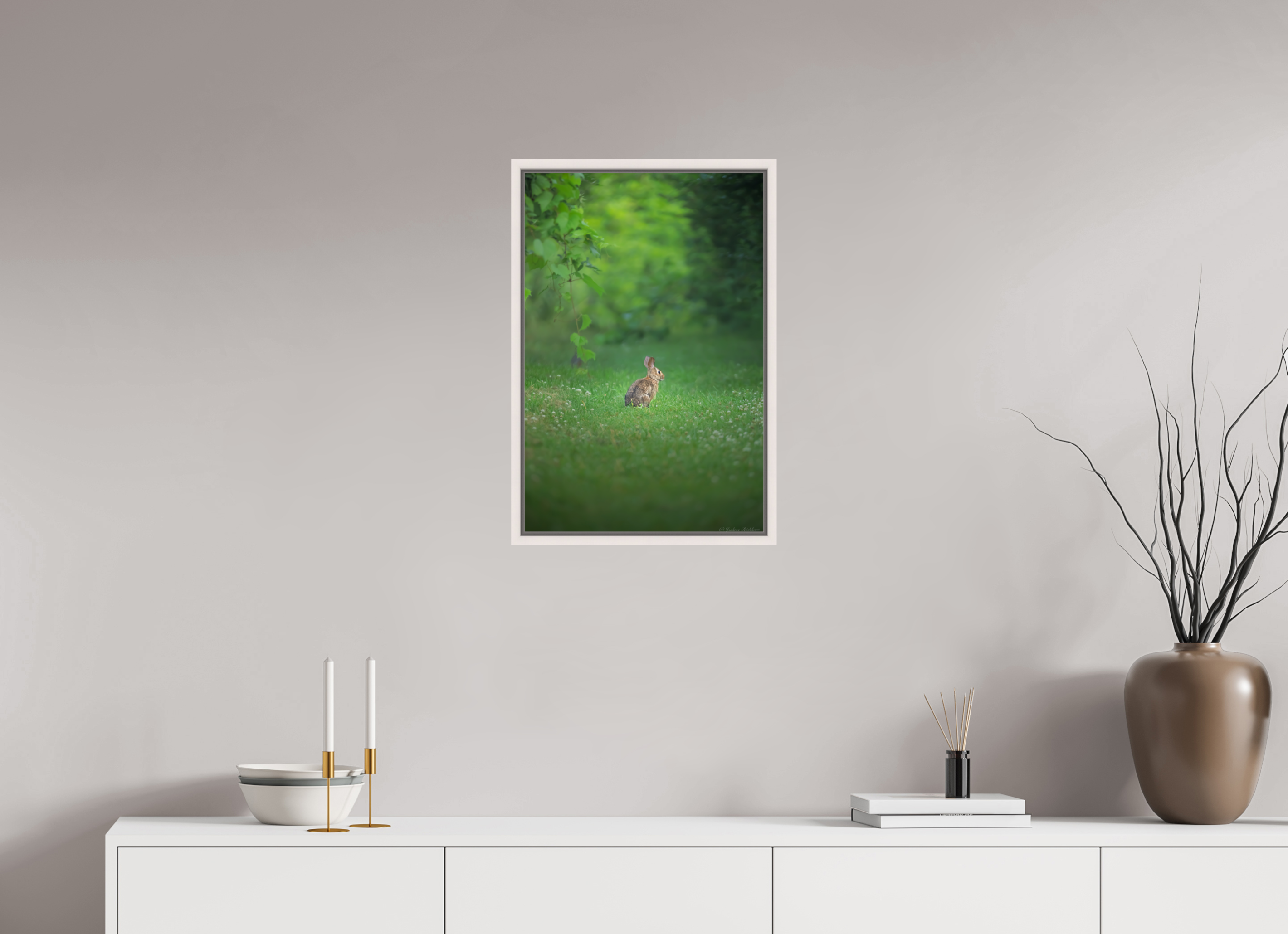 Curious Bunny in the Meadow