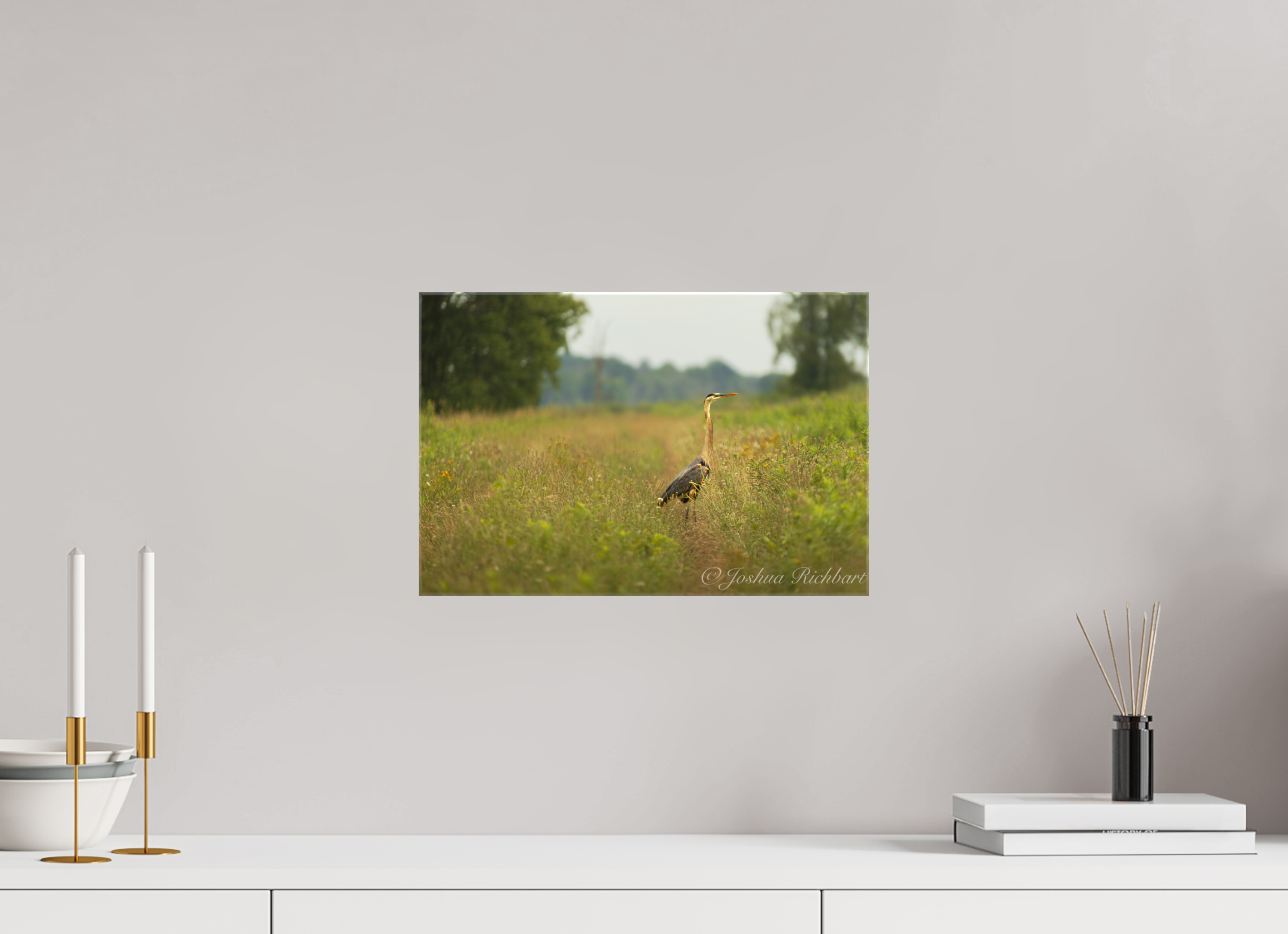 Serene Heron in the Meadow