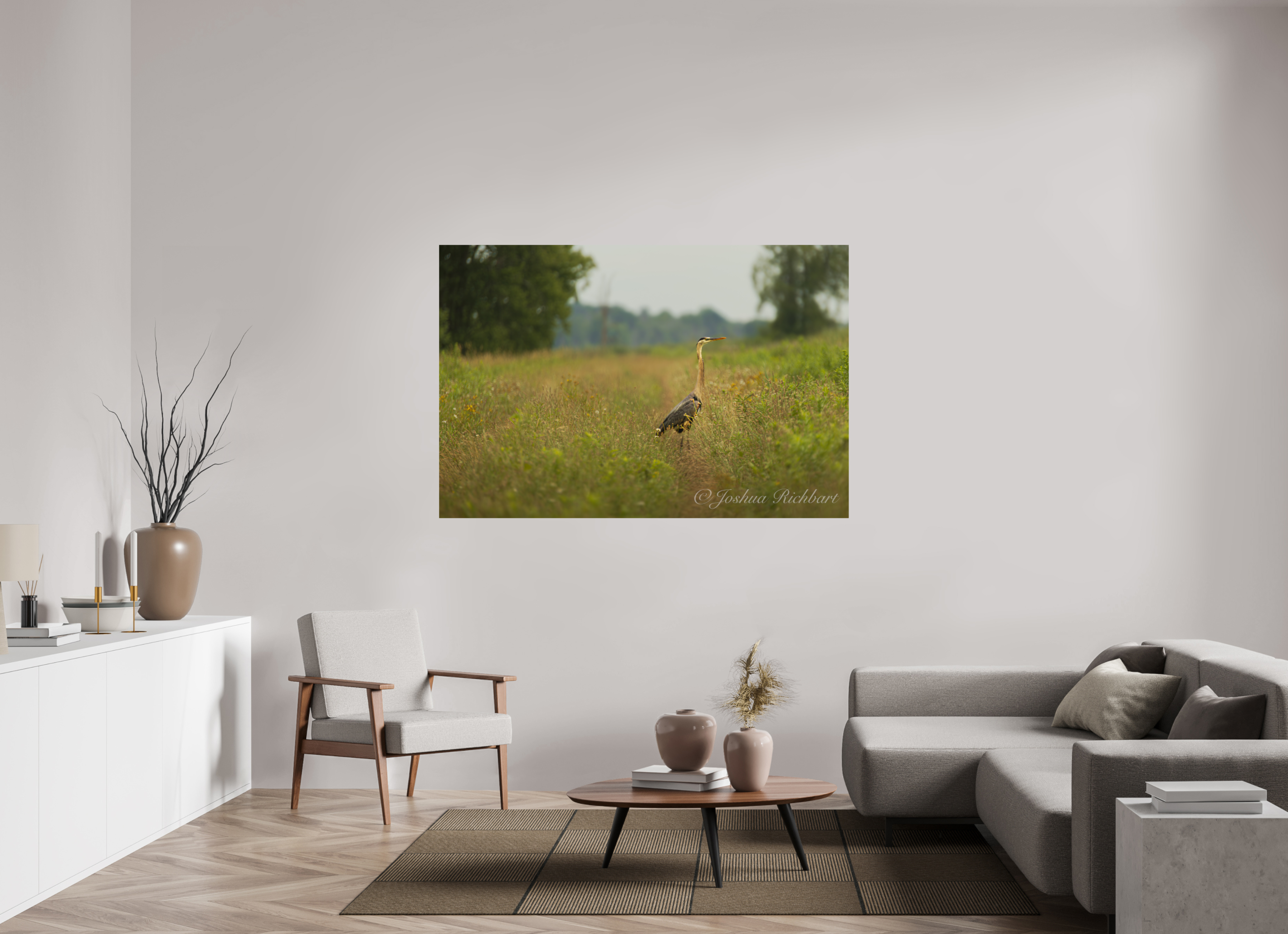 Serene Heron in the Meadow