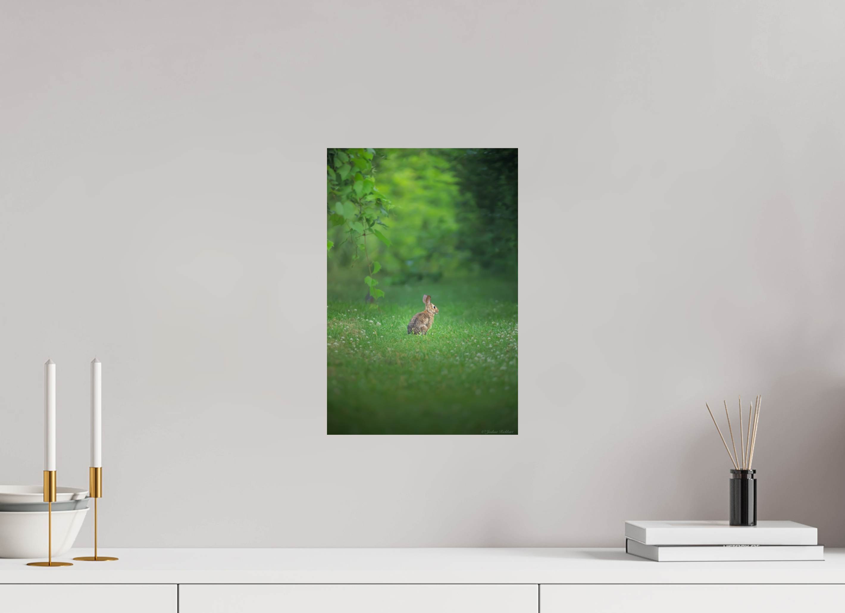 Curious Bunny in the Meadow