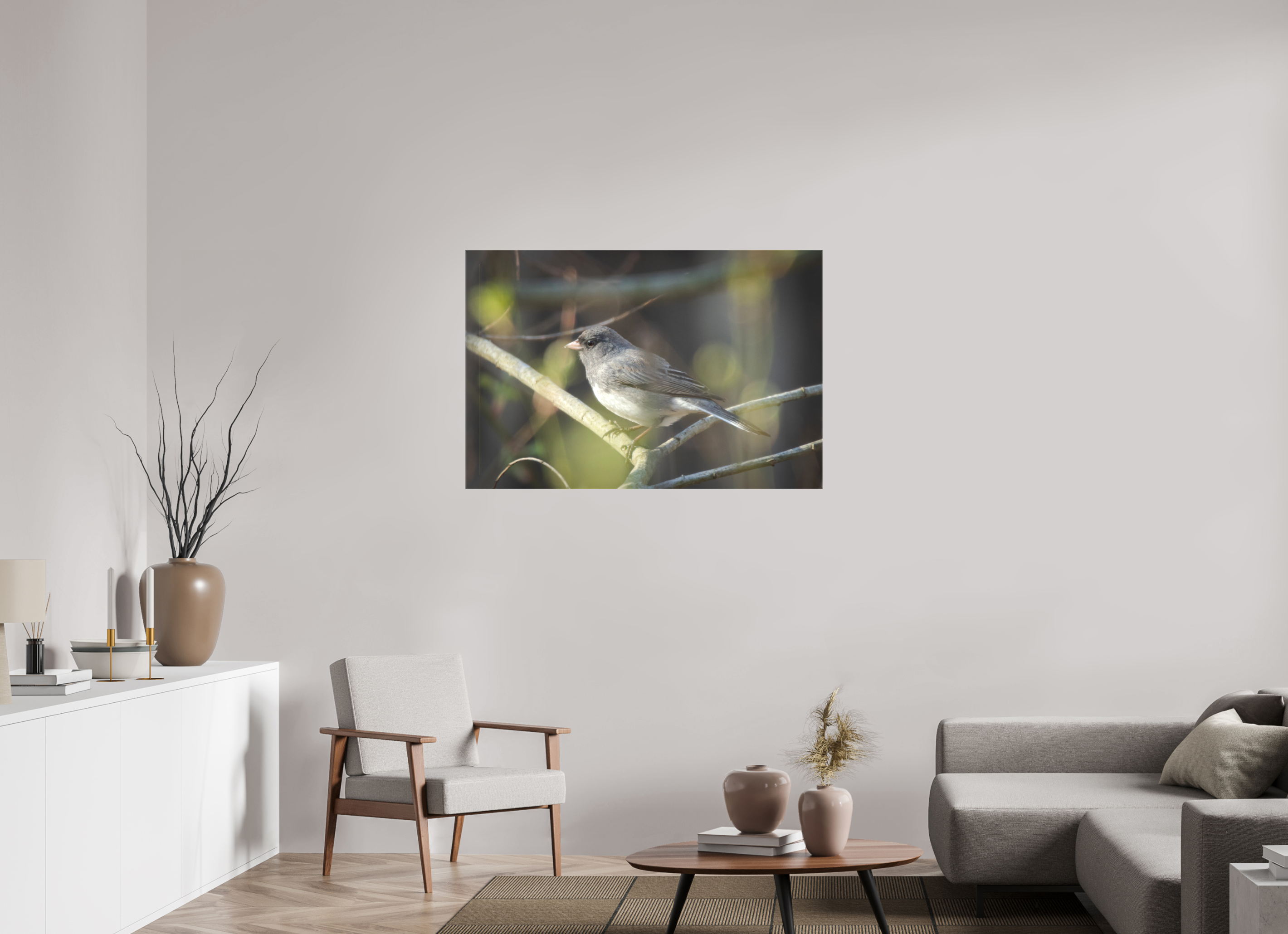 Dark-Eyed Junco Perched