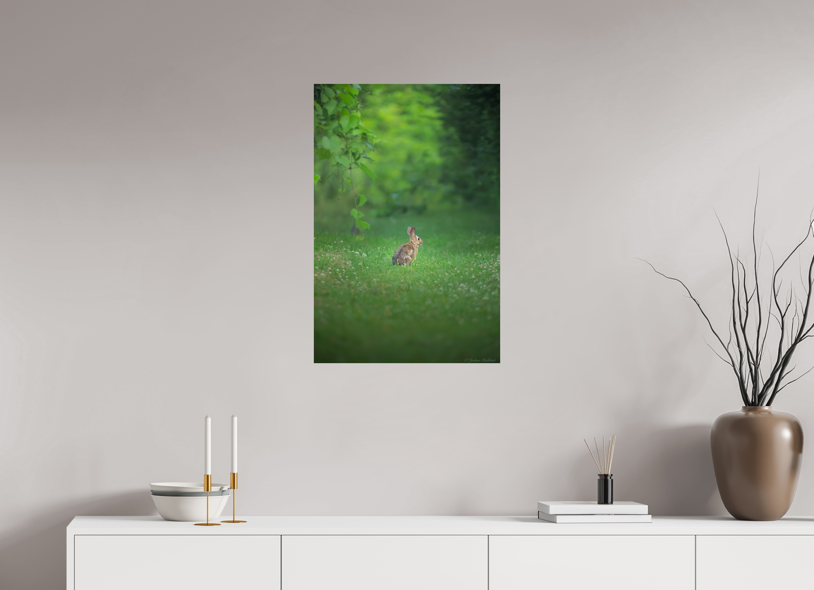 Curious Bunny in the Meadow