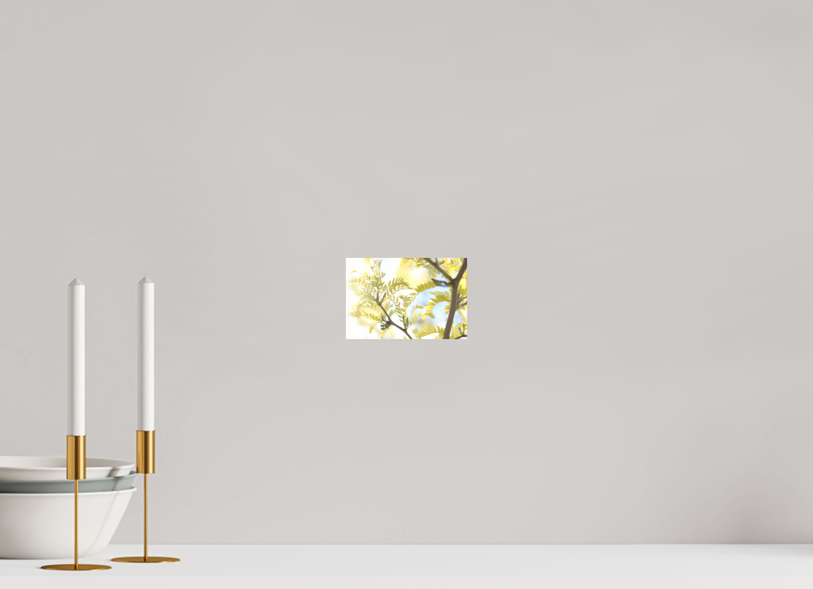 Sunlit Branches with Emerging Leaves