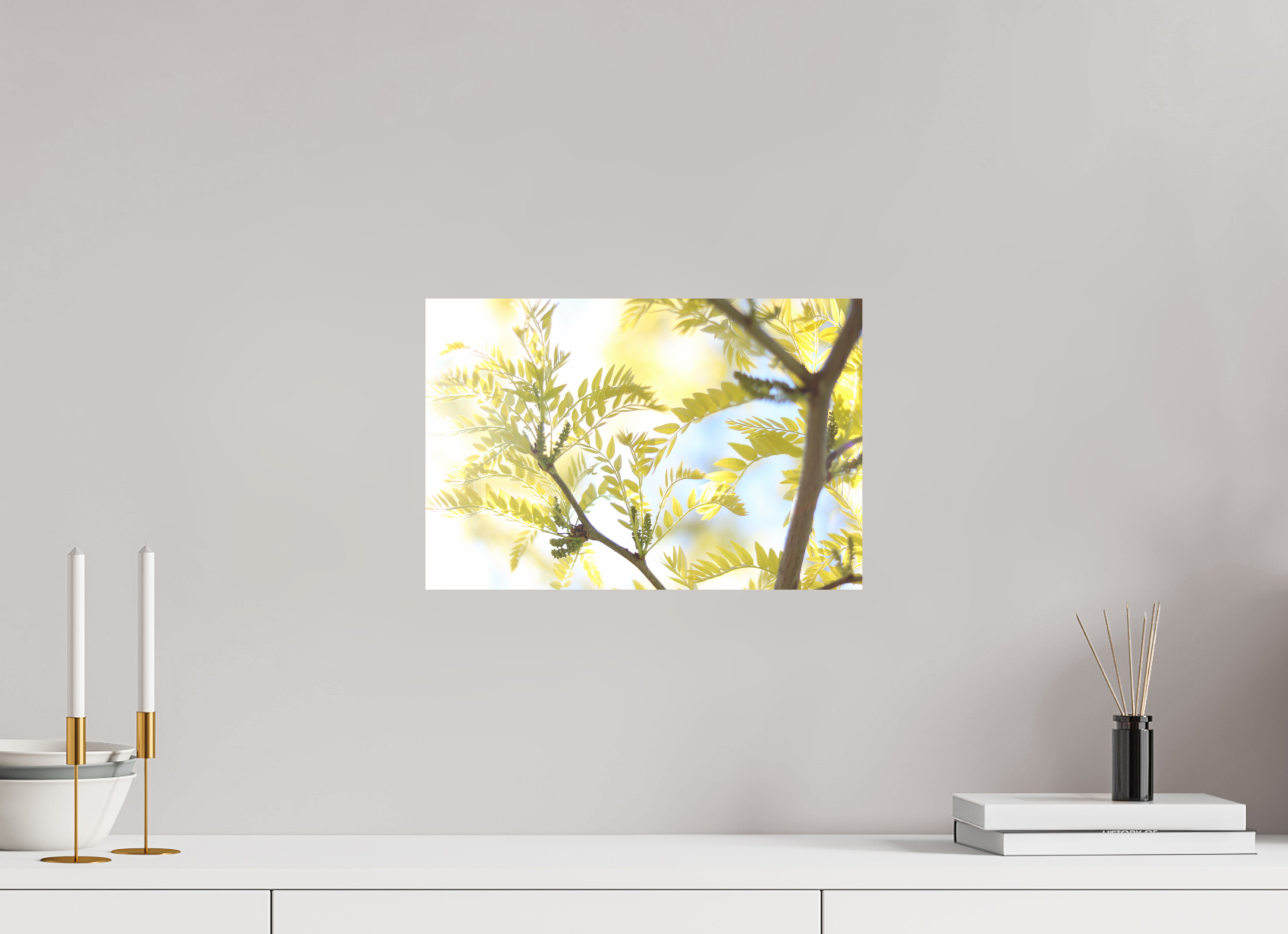 Sunlit Branches with Emerging Leaves