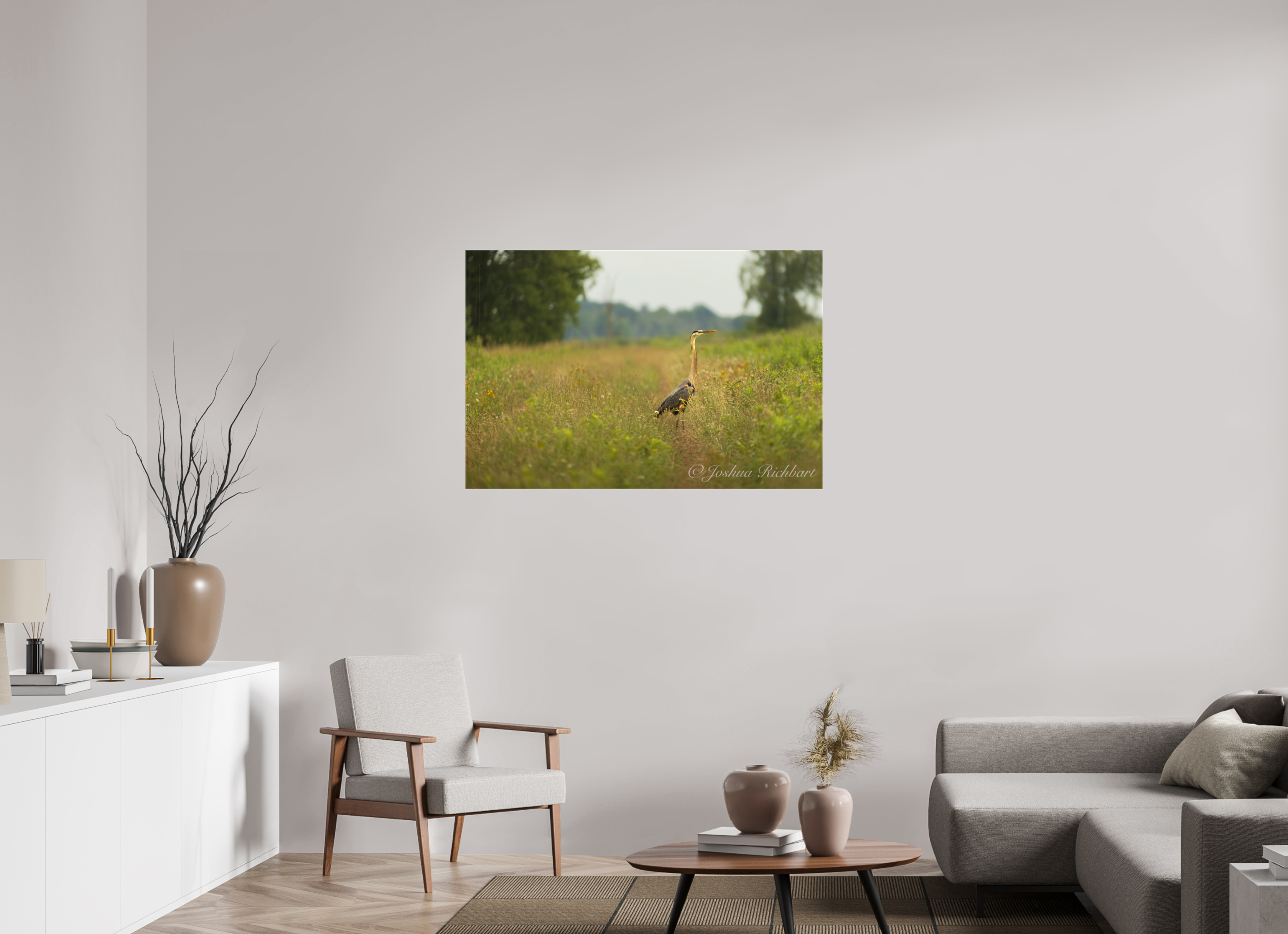 Serene Heron in the Meadow