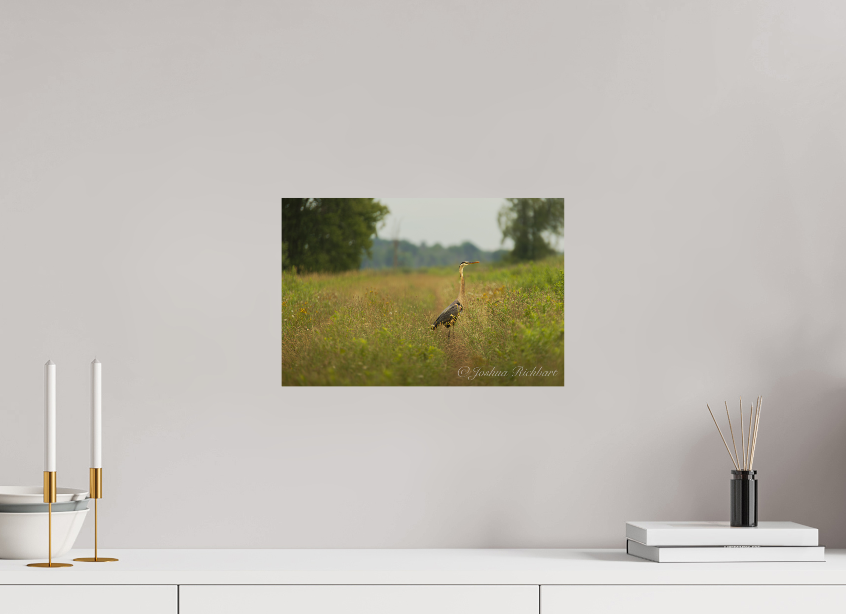 Serene Heron in the Meadow