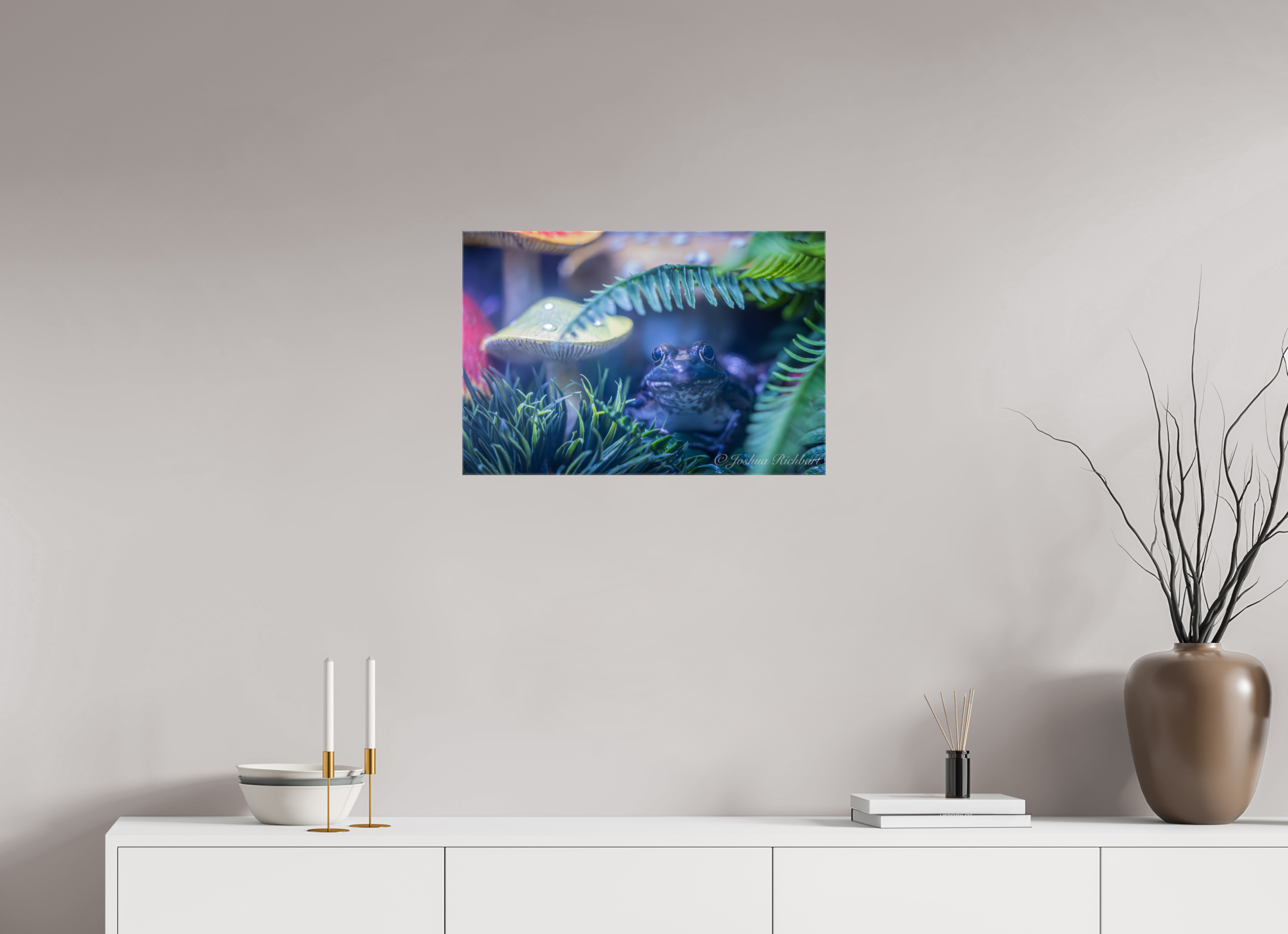 Hidden Frog in the Ferns