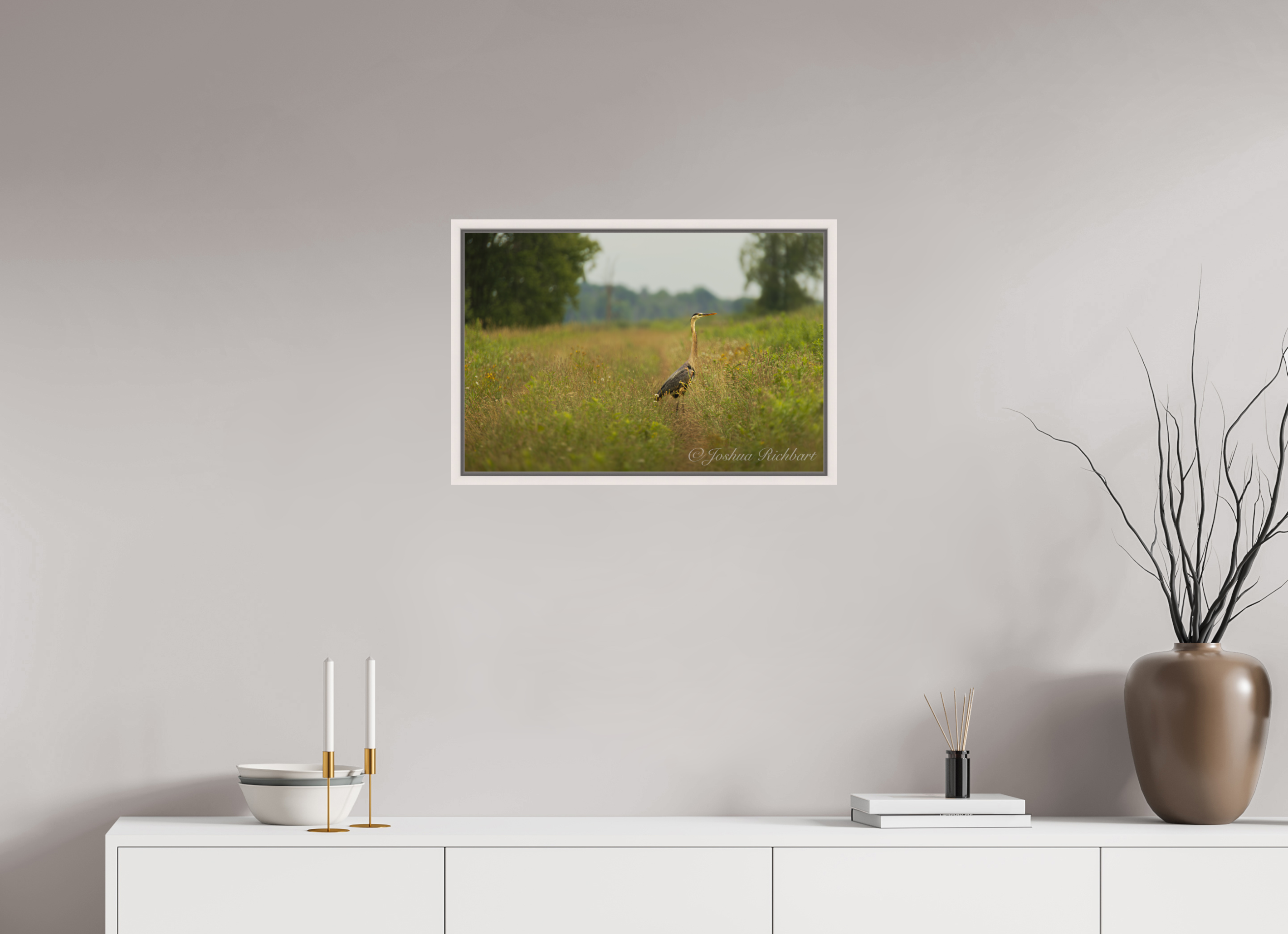 Serene Heron in the Meadow