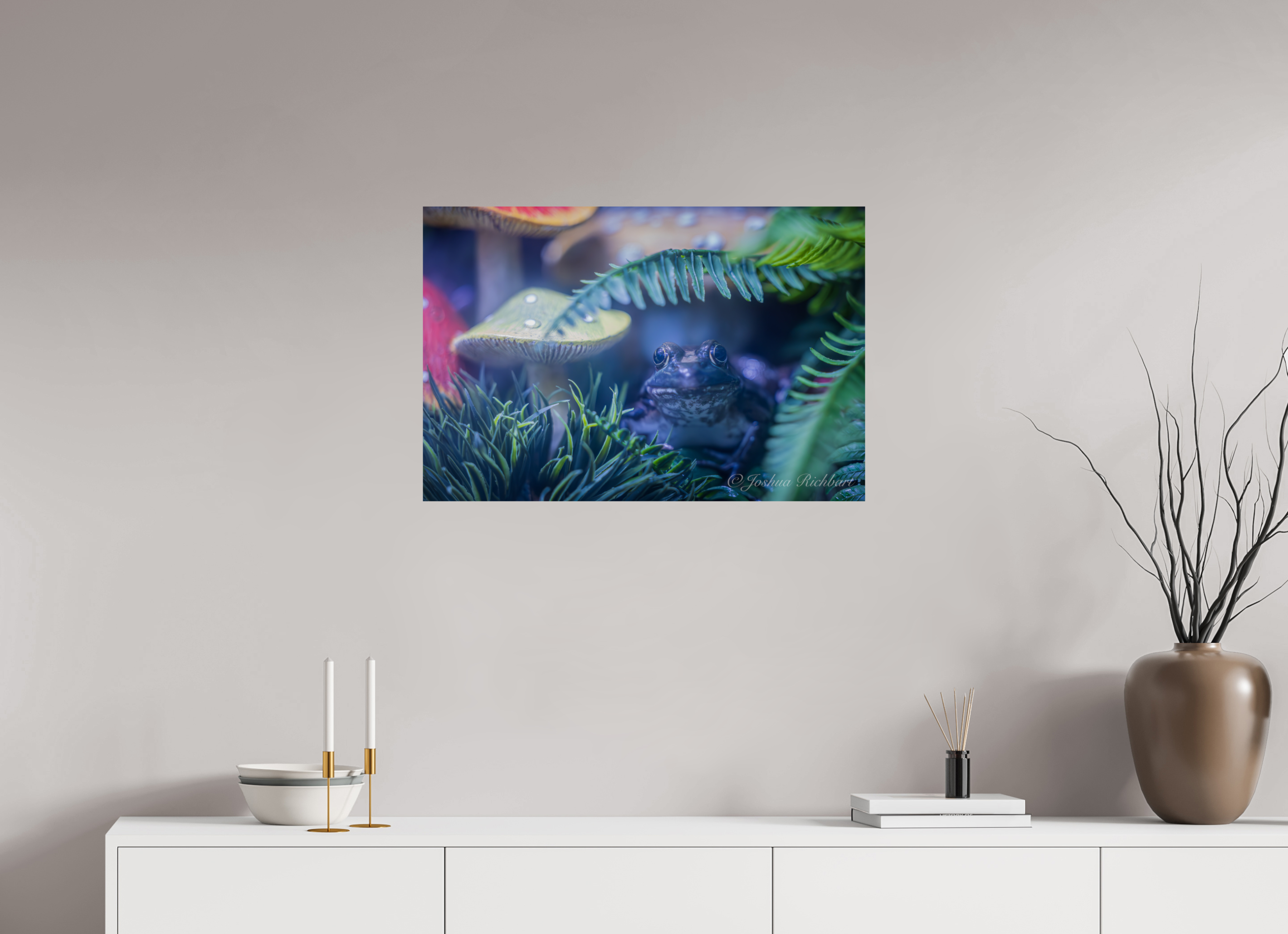 Hidden Frog in the Ferns