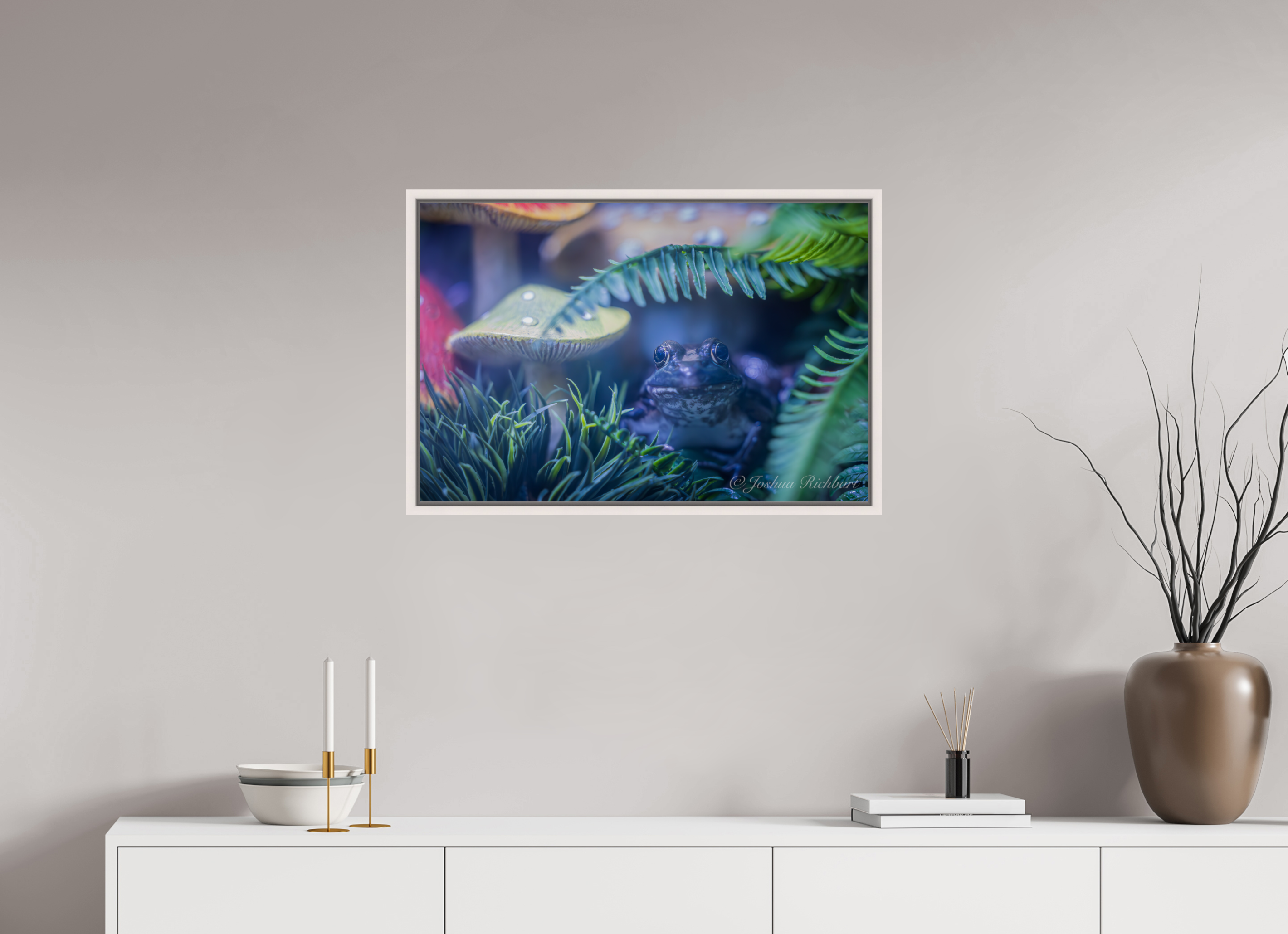 Hidden Frog in the Ferns