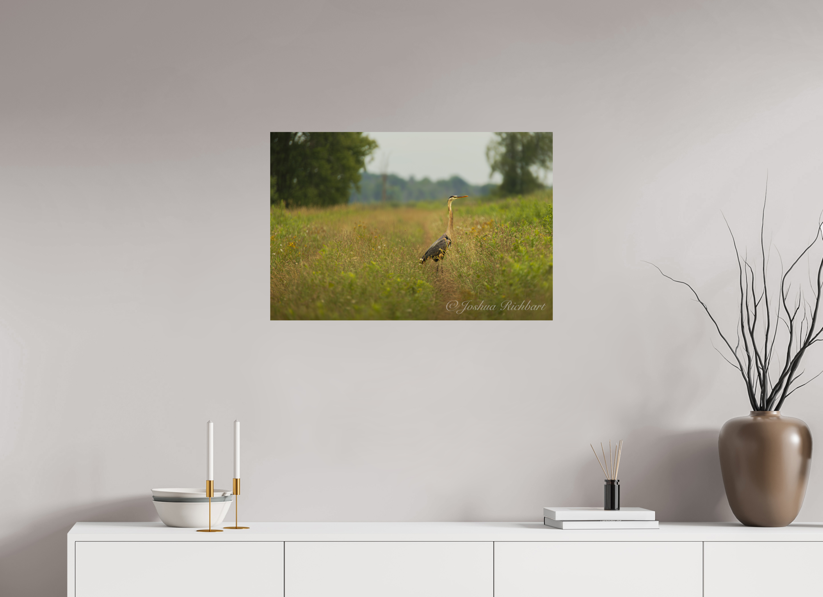 Serene Heron in the Meadow