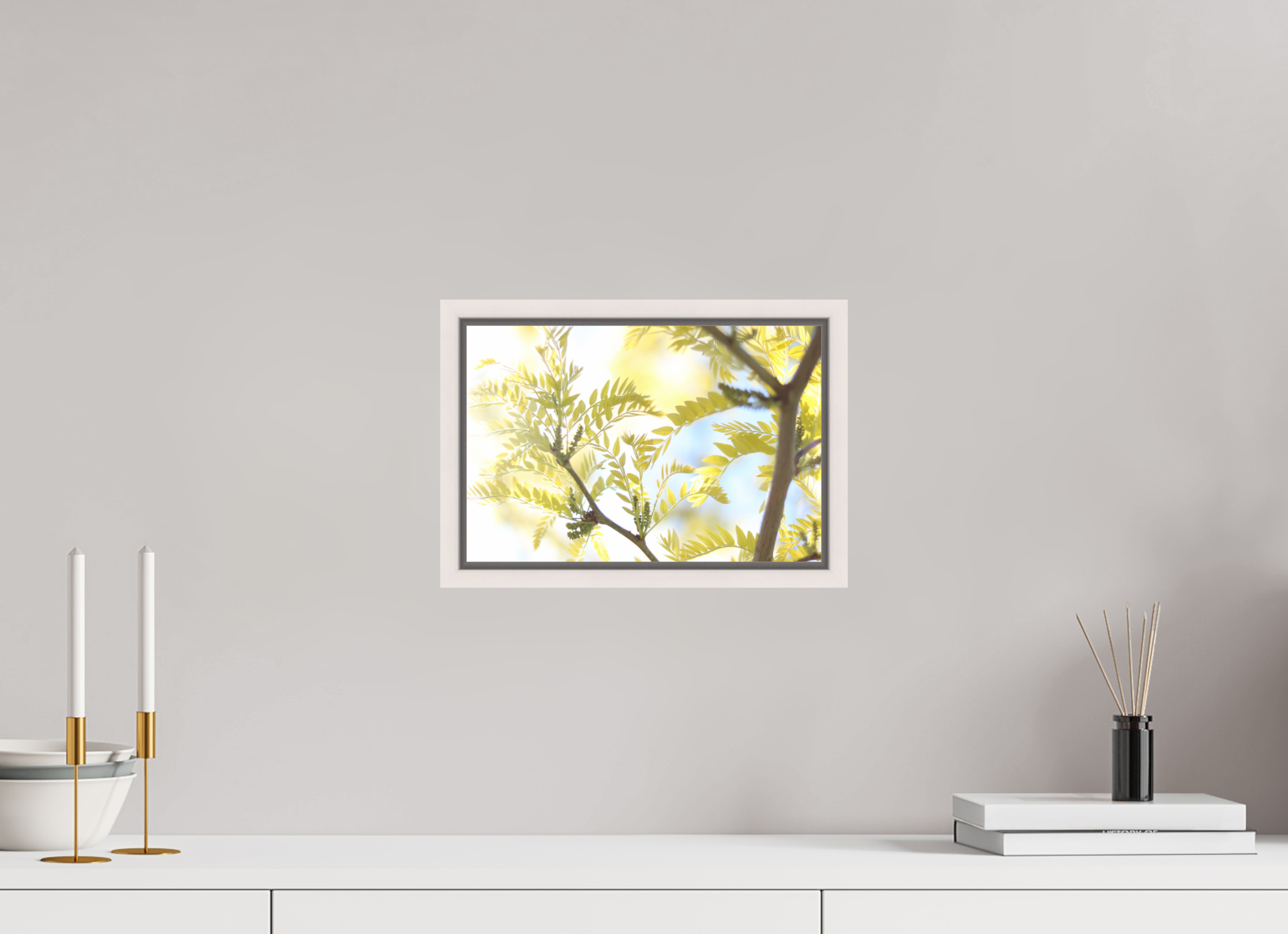 Sunlit Branches with Emerging Leaves