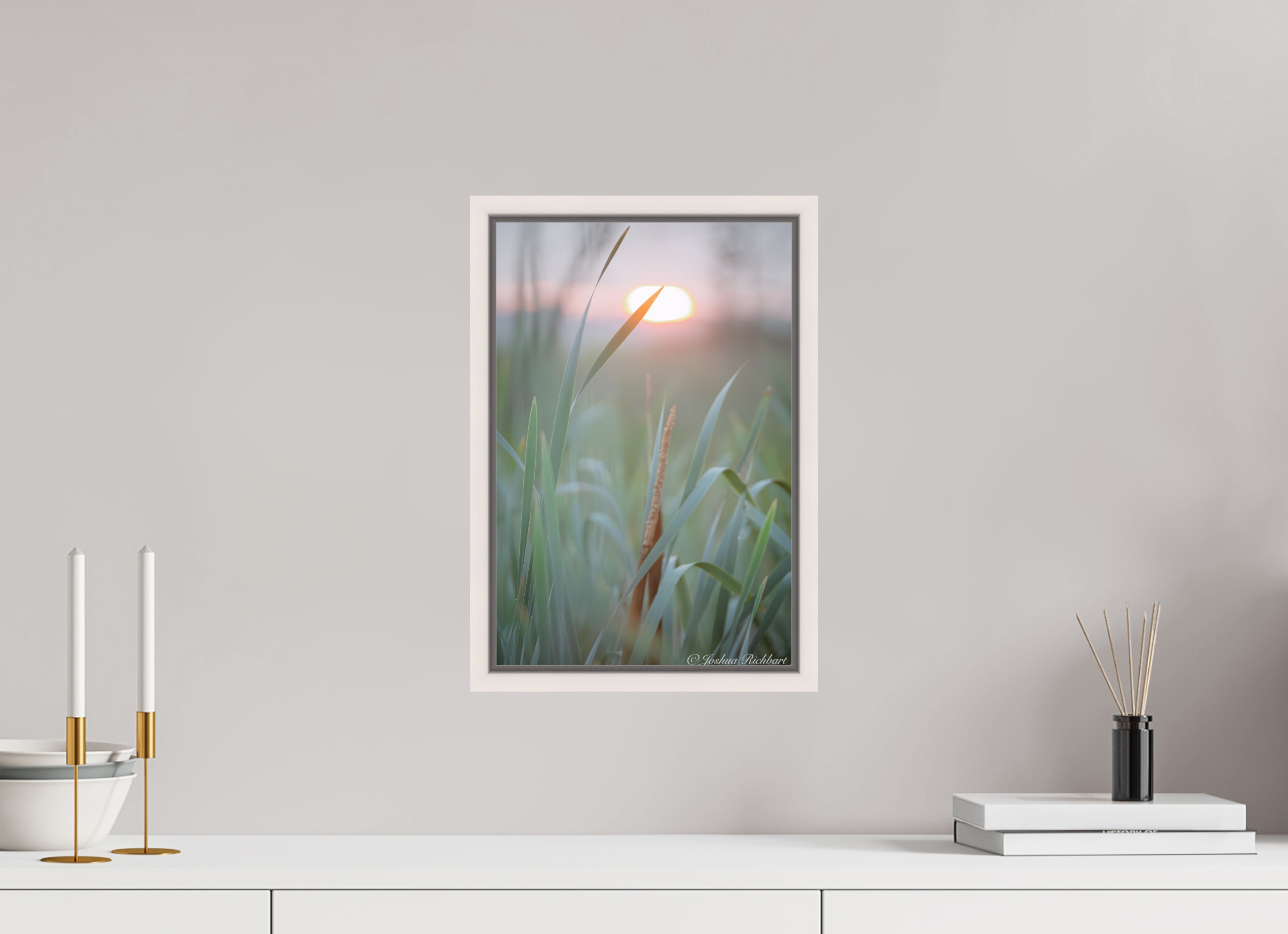 Morning Light in the Meadow