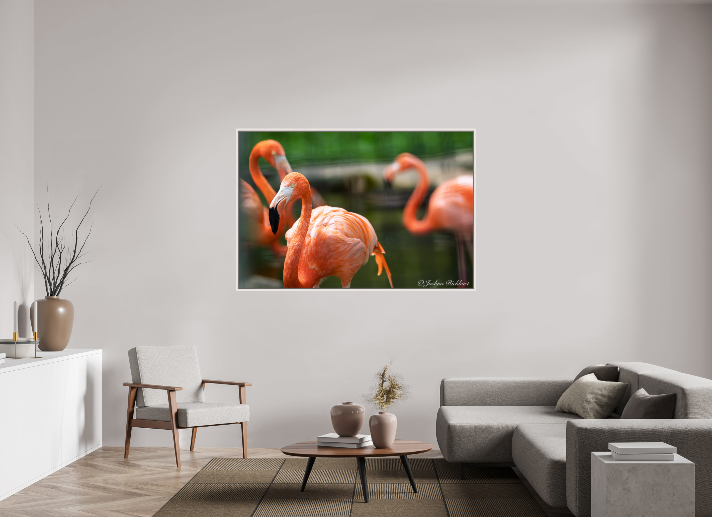 Flamingo Gathering