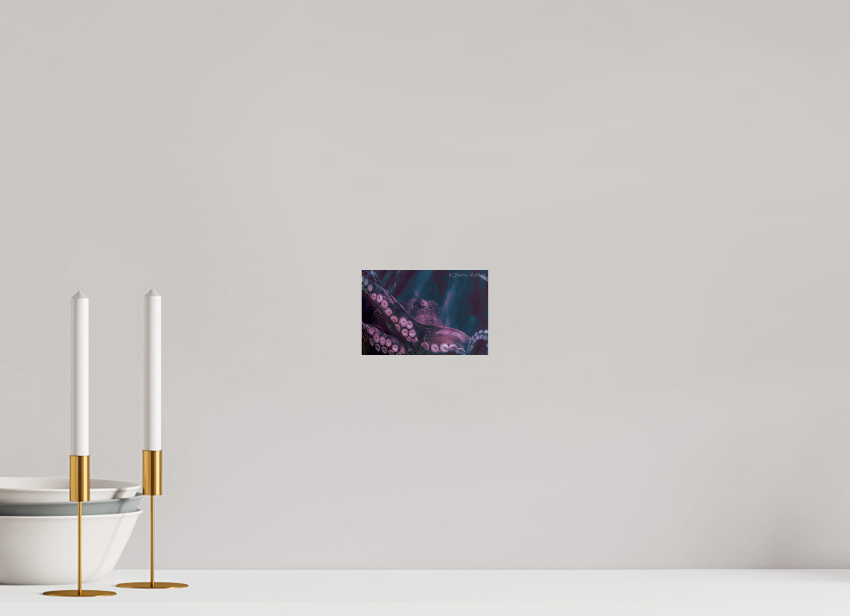 Octopus in the Depths